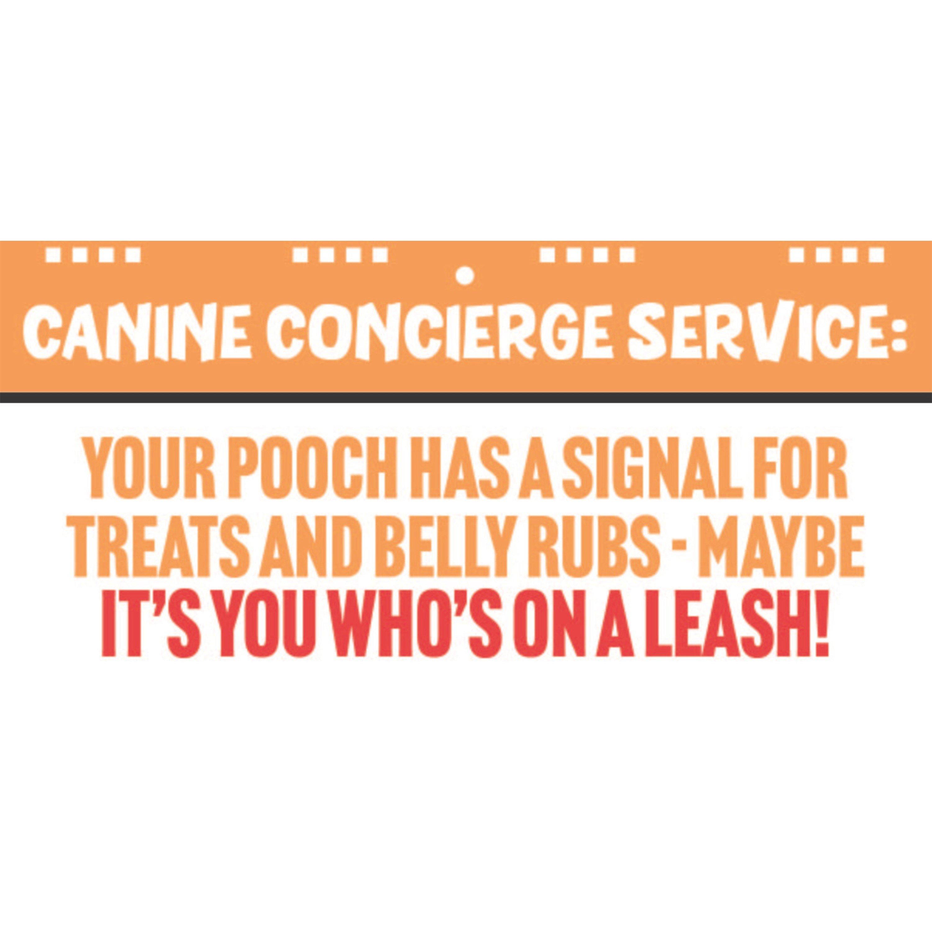 Multi - Boxer Gifts - 50 Ways To Spoil Your Dog Flipbook Funny Dog Gift - 7