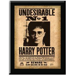 Harry Potter GAME Harry Potter Undesirable Plaque