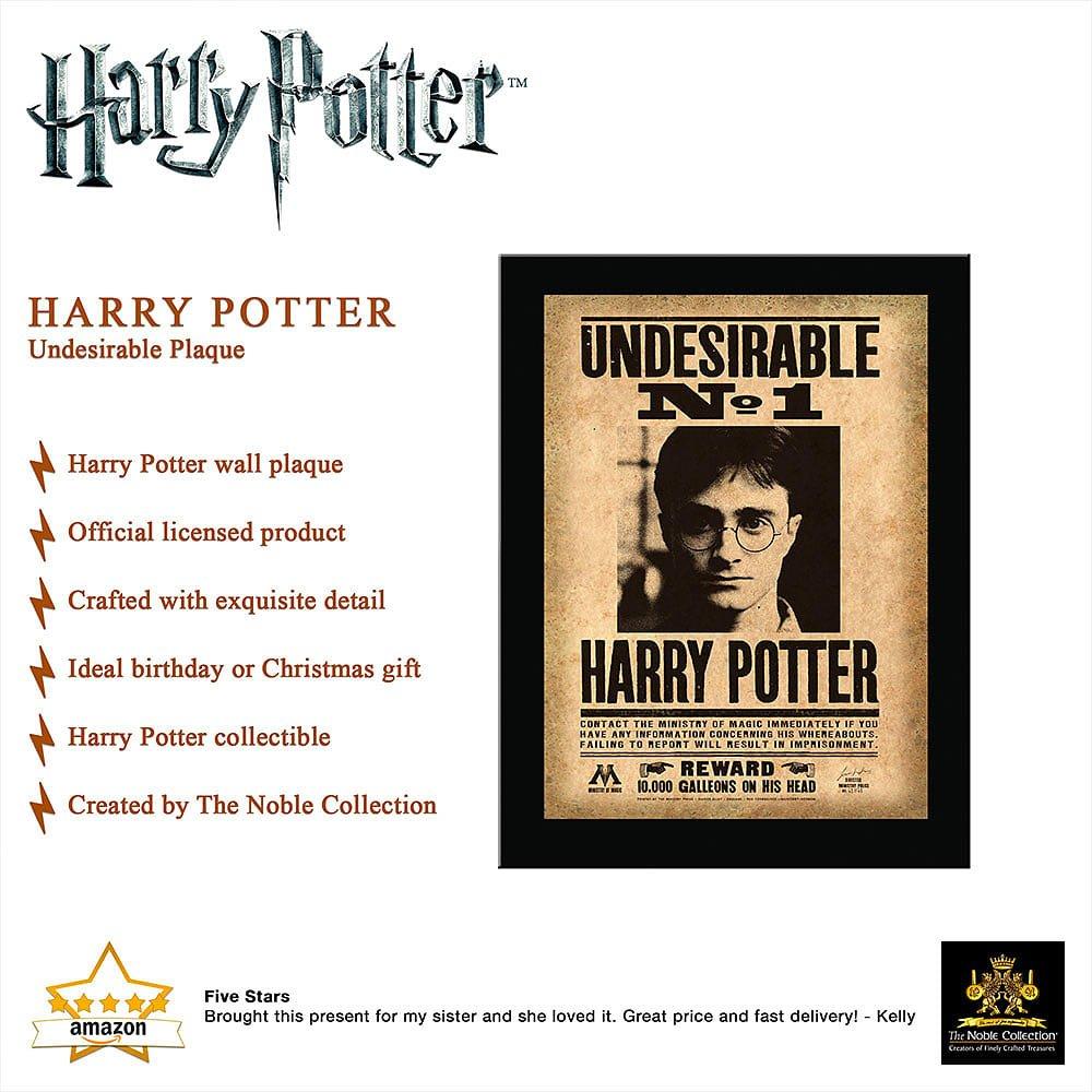 Multi Format An - Harry Potter - Harry Potter Undesirable Plaque - 4