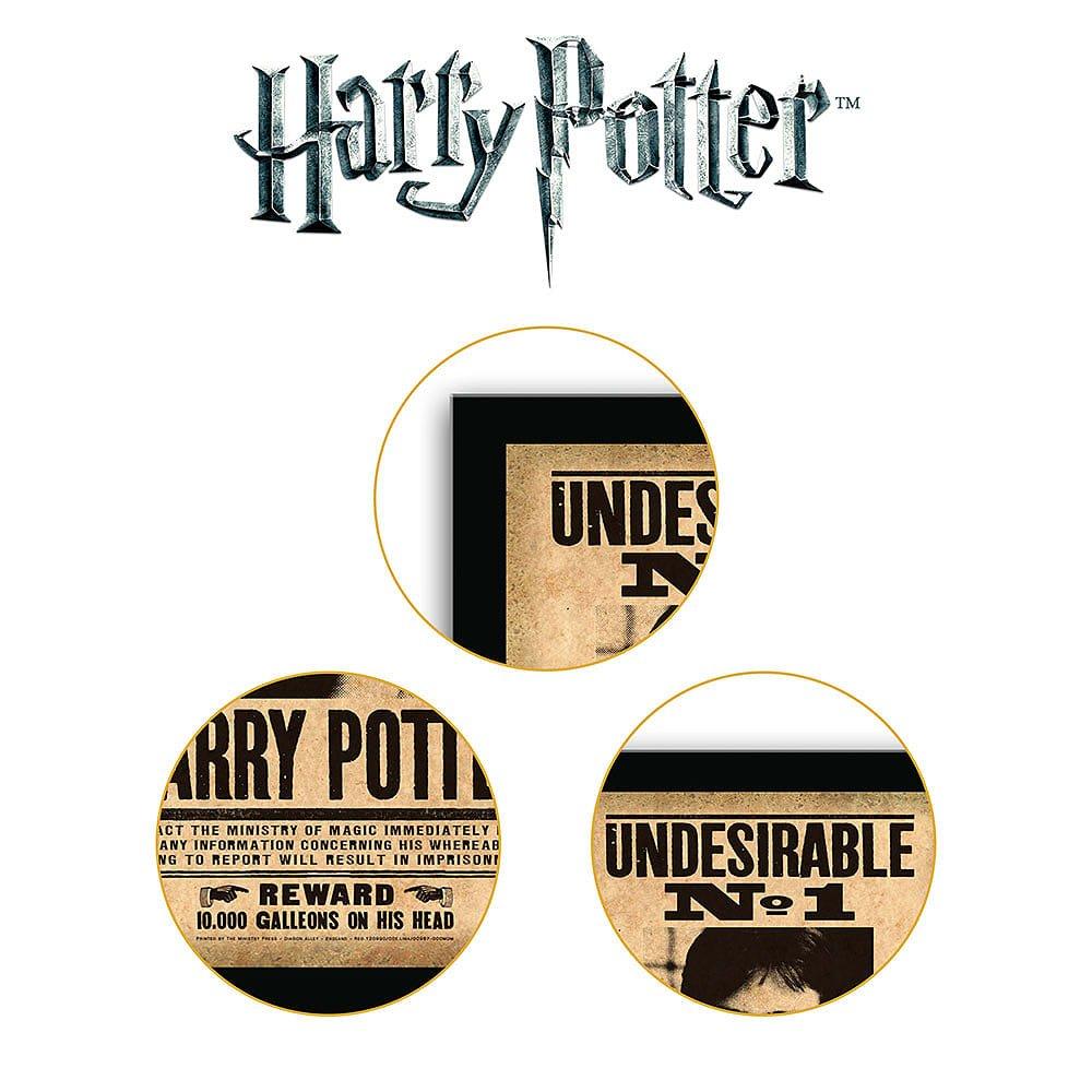 Multi Format An - Harry Potter - Harry Potter Undesirable Plaque - 5