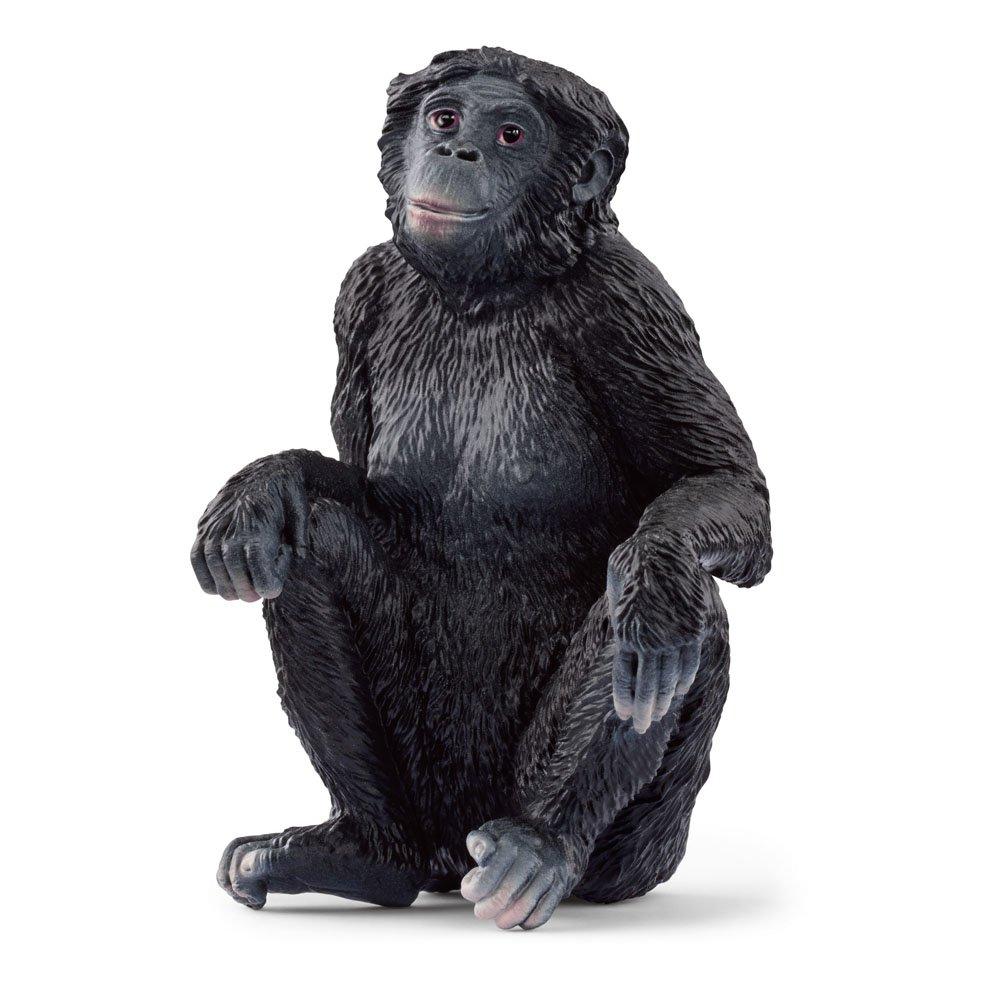 Multi - Schleich - Wild Life Bonobo Female T