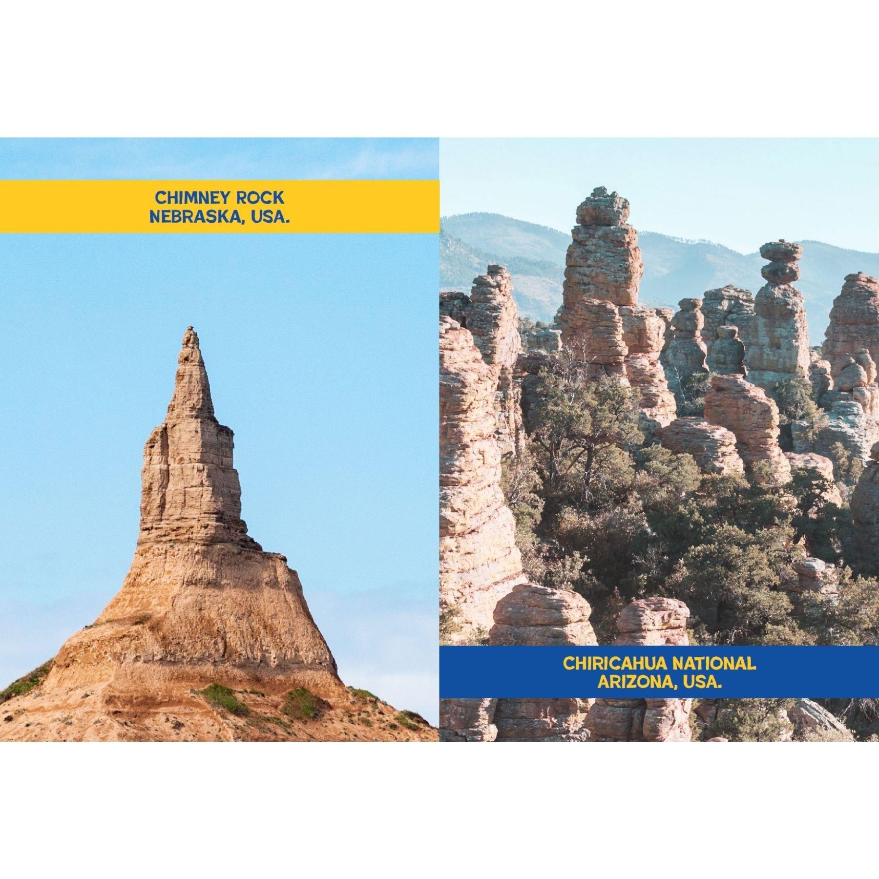 Multi - Boxer Gifts - Rock Solid Phallic Wonders of Nature: Funny Gift - 5