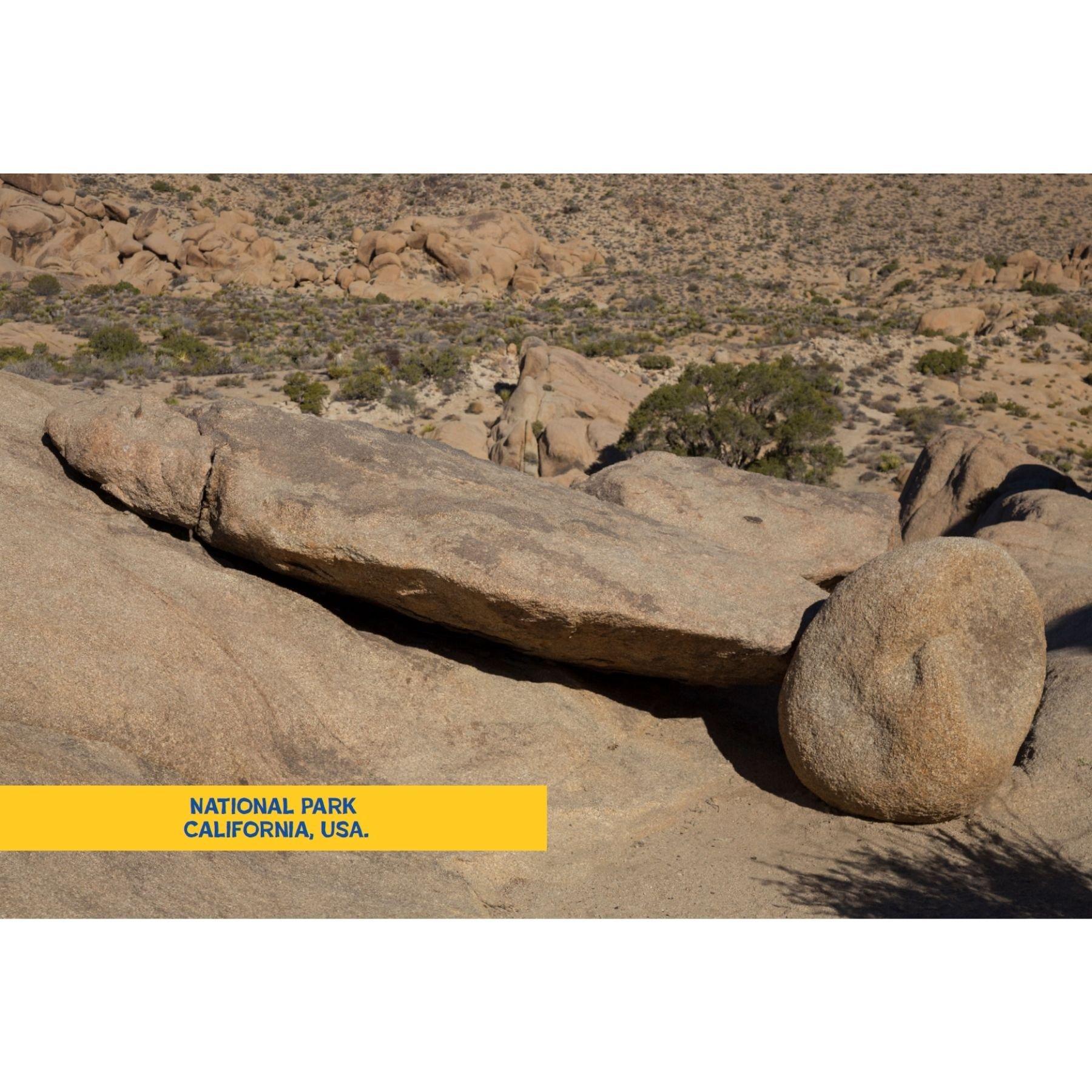 Multi - Boxer Gifts - Rock Solid Phallic Wonders of Nature: Funny Gift - 6