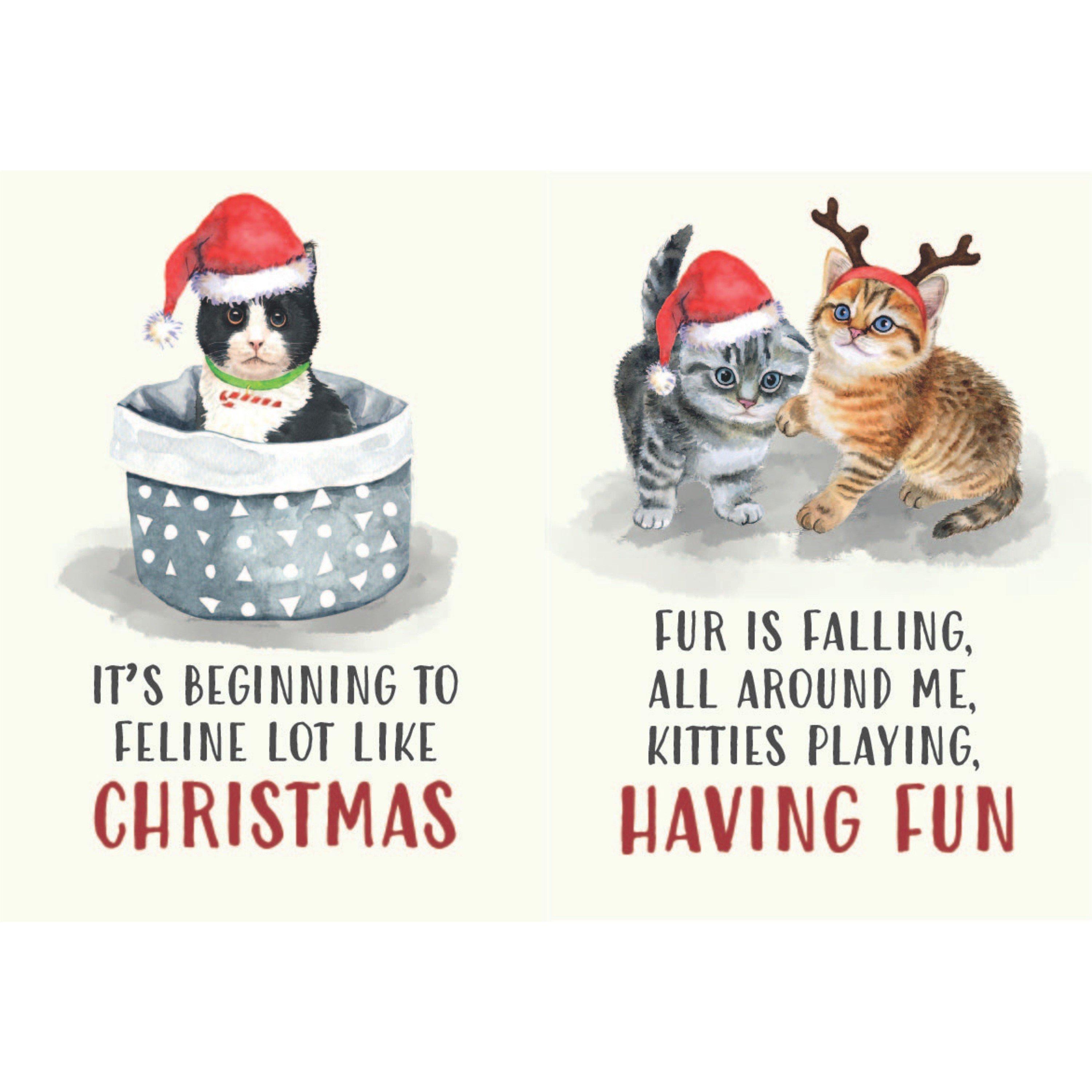 Multi - Boxer Gifts - All I Want For Christmas Is More Cats Book - 4