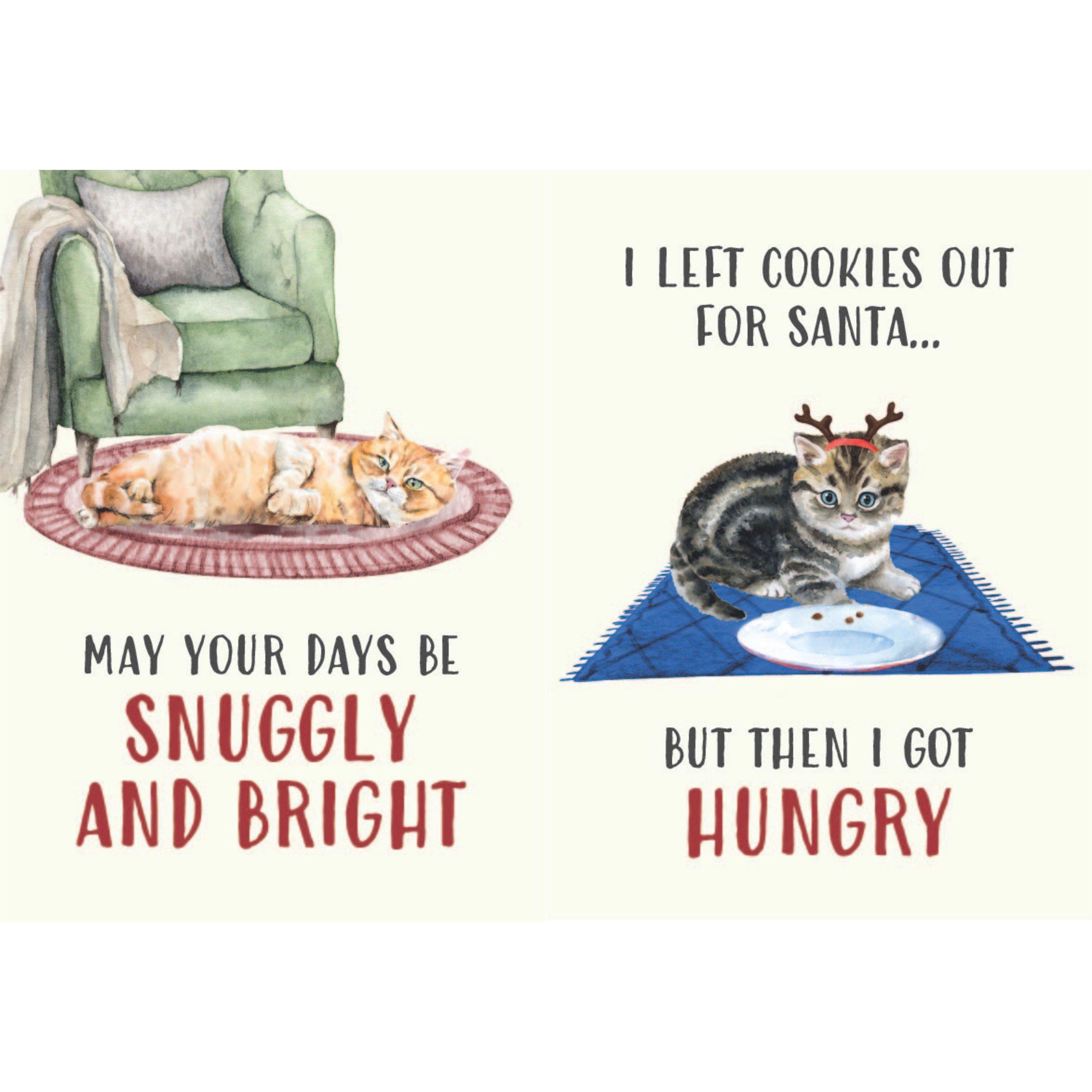 Multi - Boxer Gifts - All I Want For Christmas Is More Cats Book - 5
