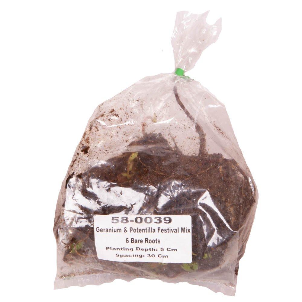 Multi - YouGarden - Geranium & Potentilla Festival Mix (6 x Bare Roots - 2