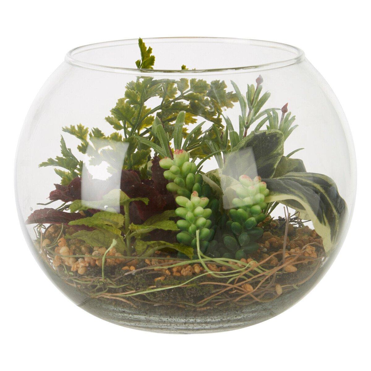 Clear - Fiori - Large Glass Pot Mixed Succulent - 1