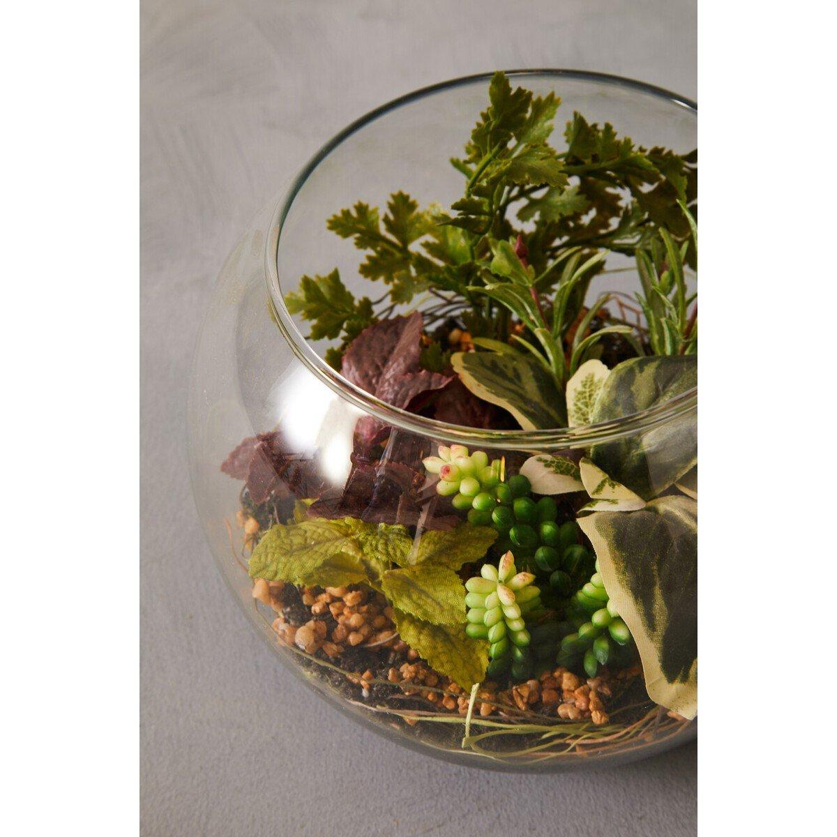 Clear - Fiori - Fiori Large Glass Pot Mixed Succulent - 5
