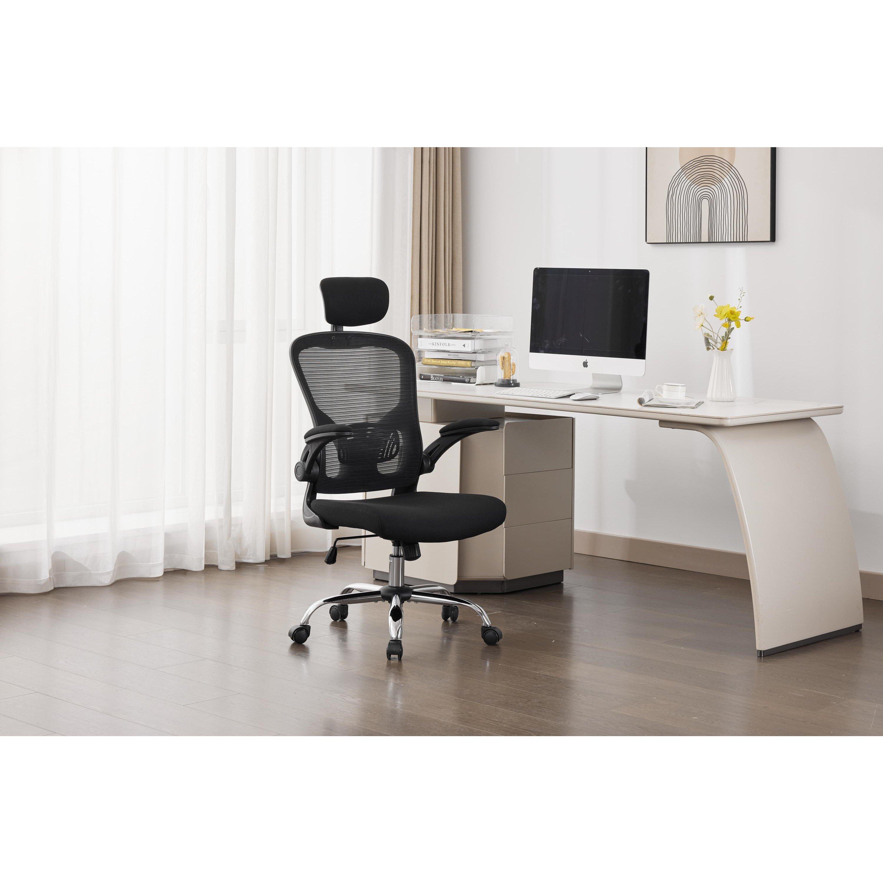 Shankar Prime Plus Mesh Black Office Chair