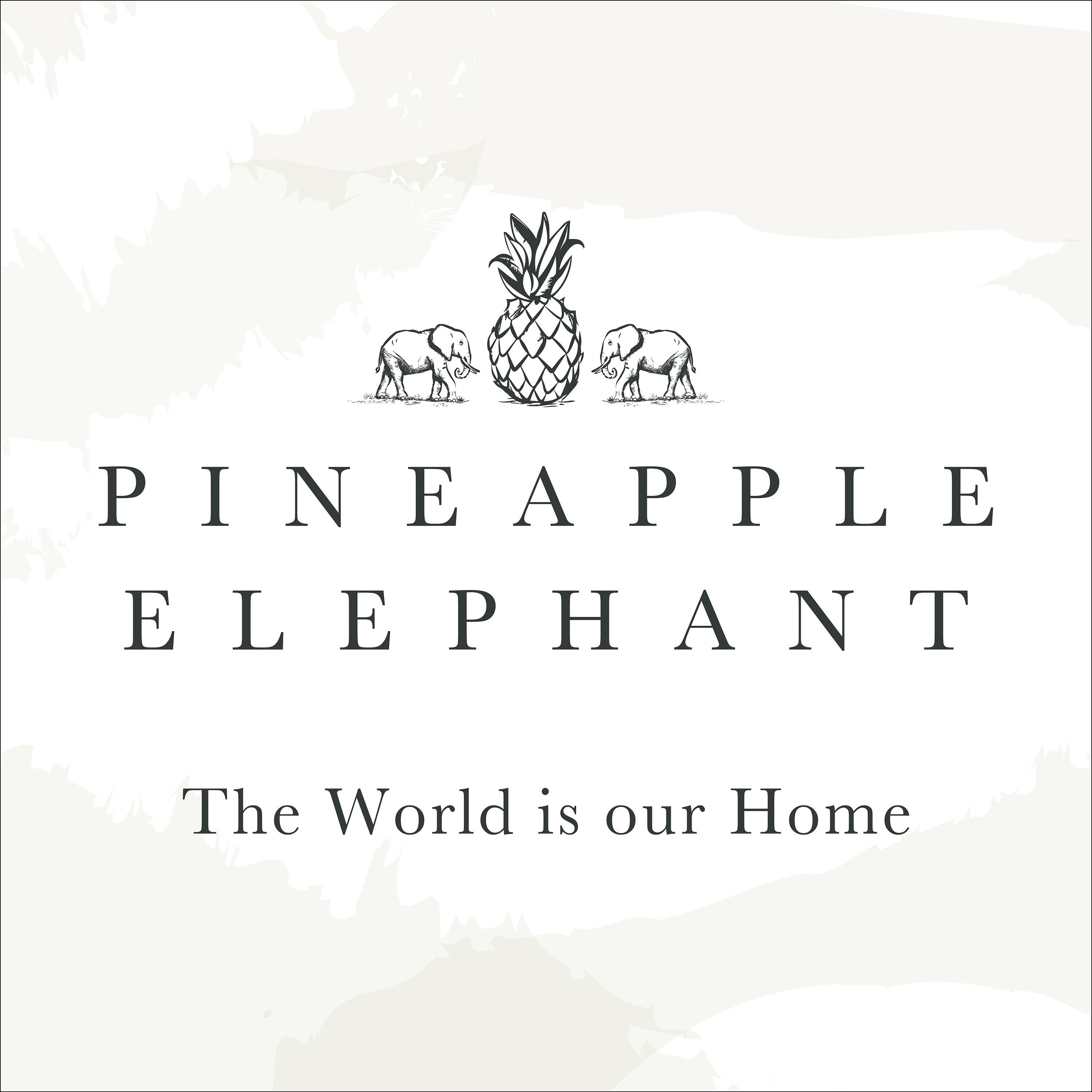 Natural - Pineapple Elephant - Muscat Waffle Slot Top Voile Curtain Panel - 5