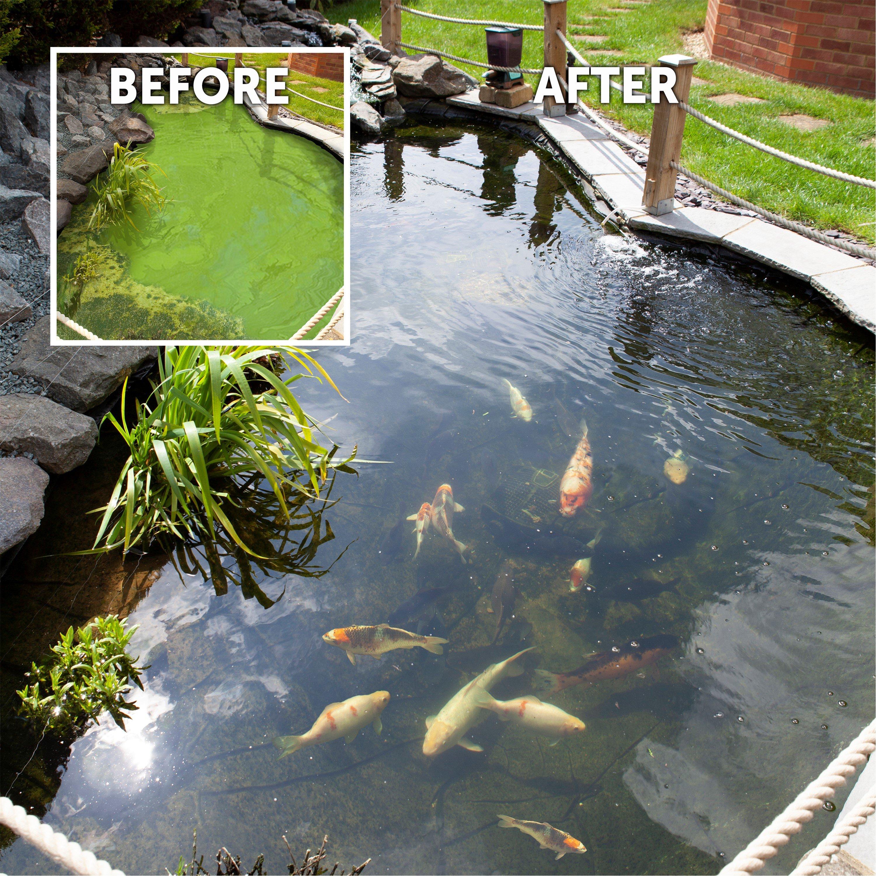 Yougarden  Bf Pond Clear Pro 2 Step Pack - Medium - Medium 20,