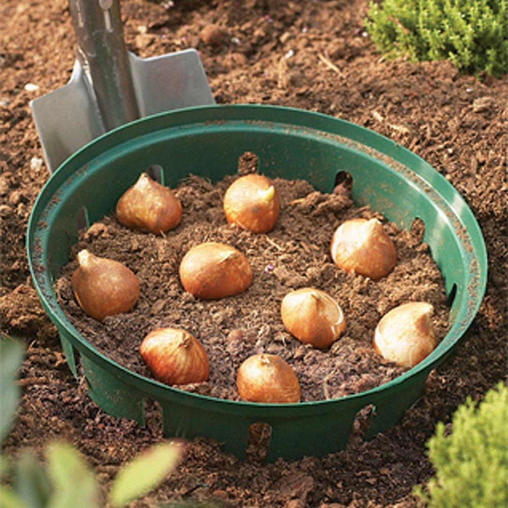 Green - YouGarden - Bulb Baskets 26cm x 3 and Bulb Planter - 3