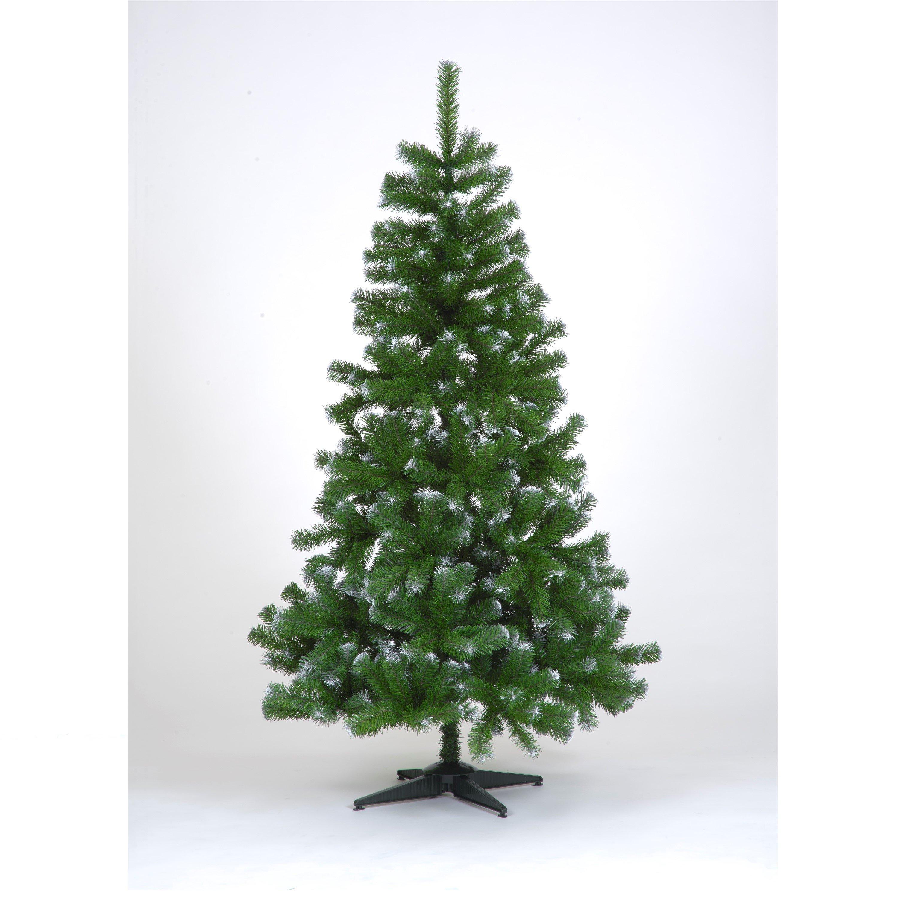 Green - Snowtime - Colorado Frosted Tip Slim Spruce Tree