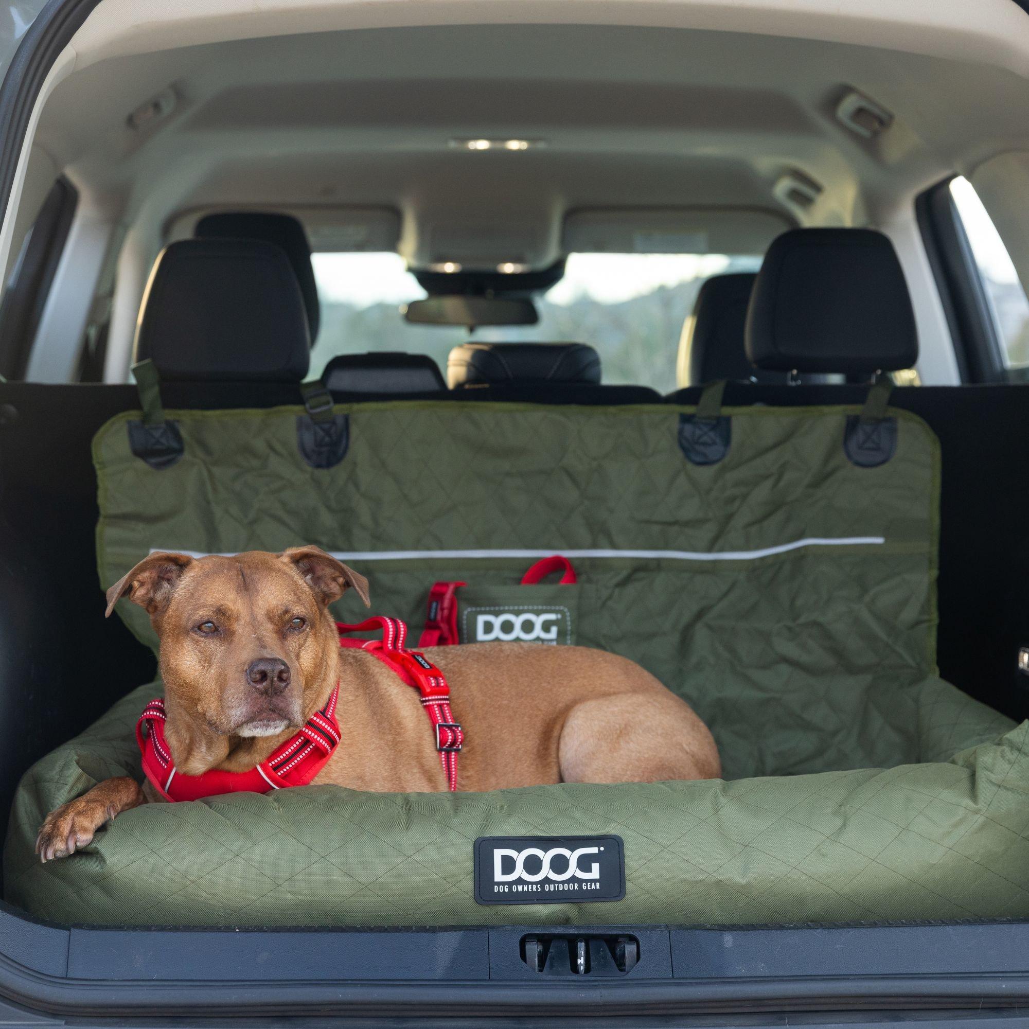 Carseat03-L(Gre - DOOG - Large Car Seat - 2