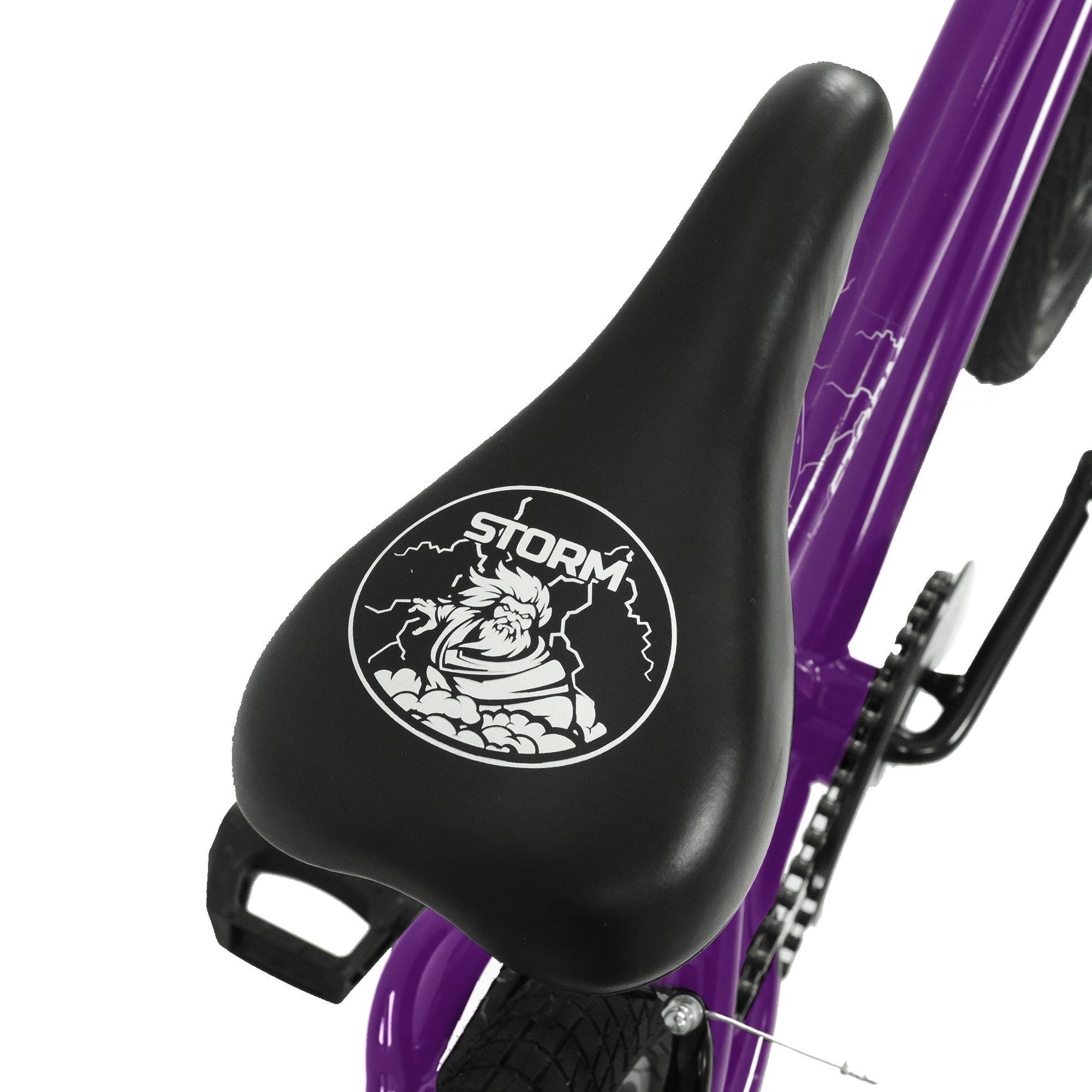 Purple - Falcon Enamelware - Storm 20 BMX Bike Purple - 9