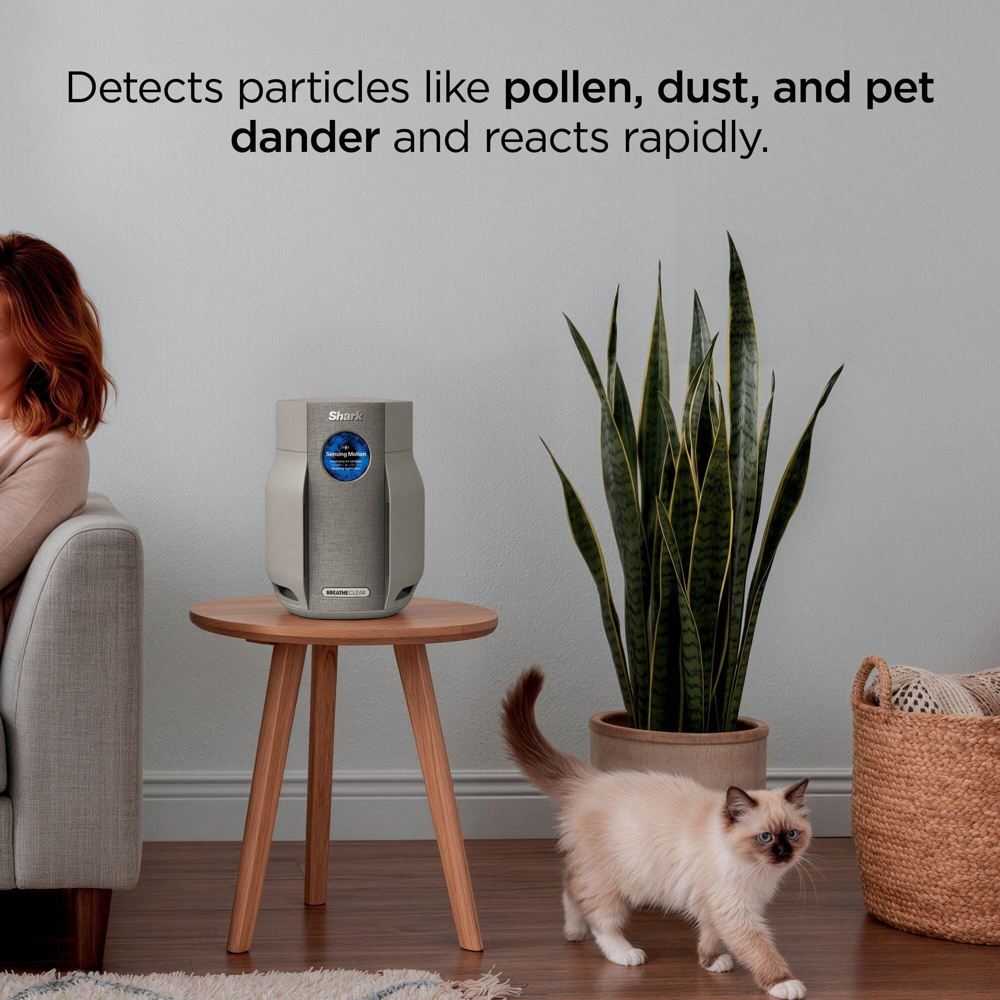 Dune - Shark - BreatheClear Compact Air Purifier HP062UKSD - 2