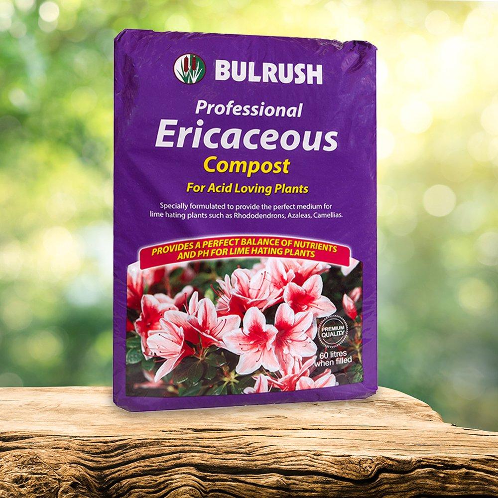 Brown - YouGarden - Ericaceous Compost 60L bag - 1