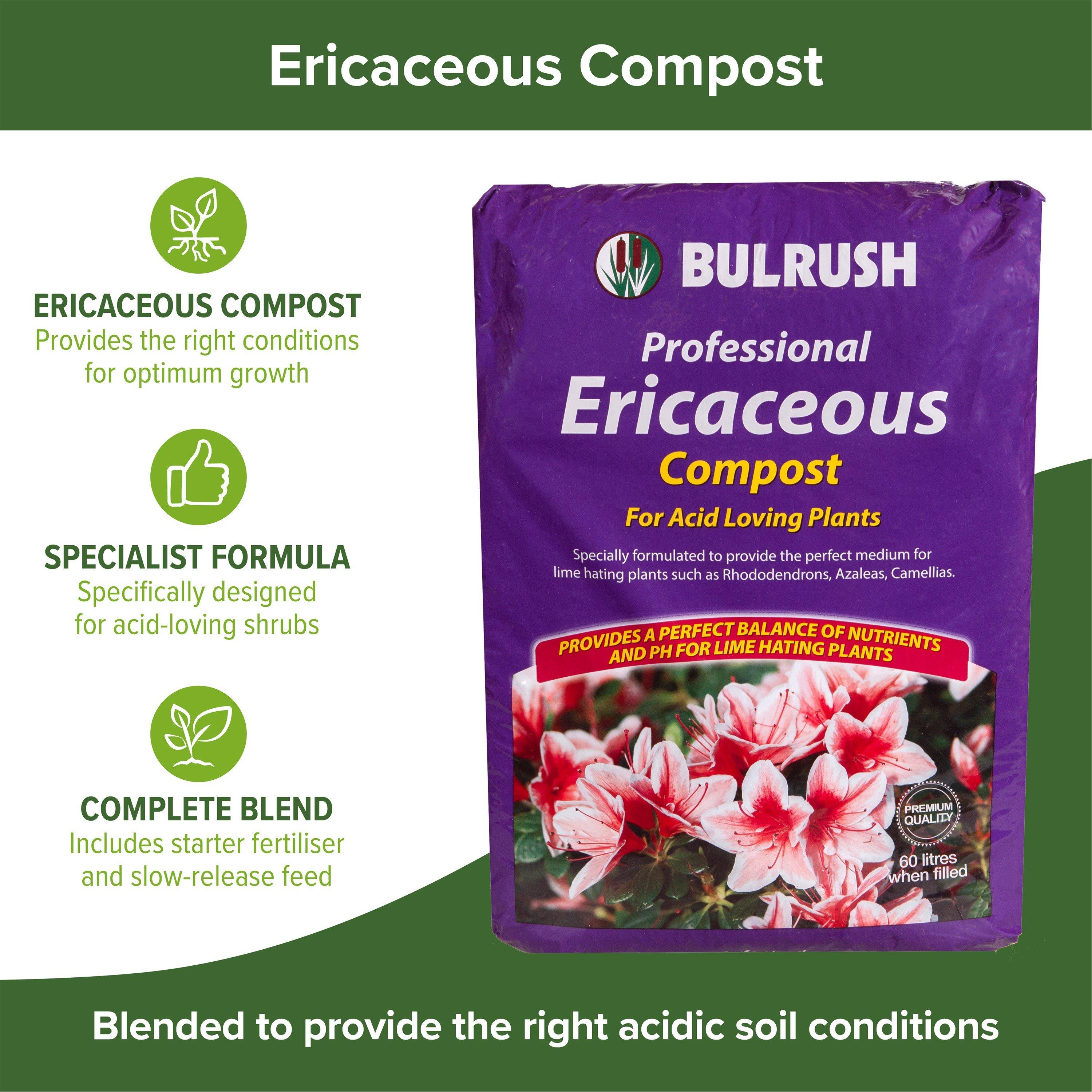 Brown - YouGarden - Ericaceous Compost 60L bag - 2