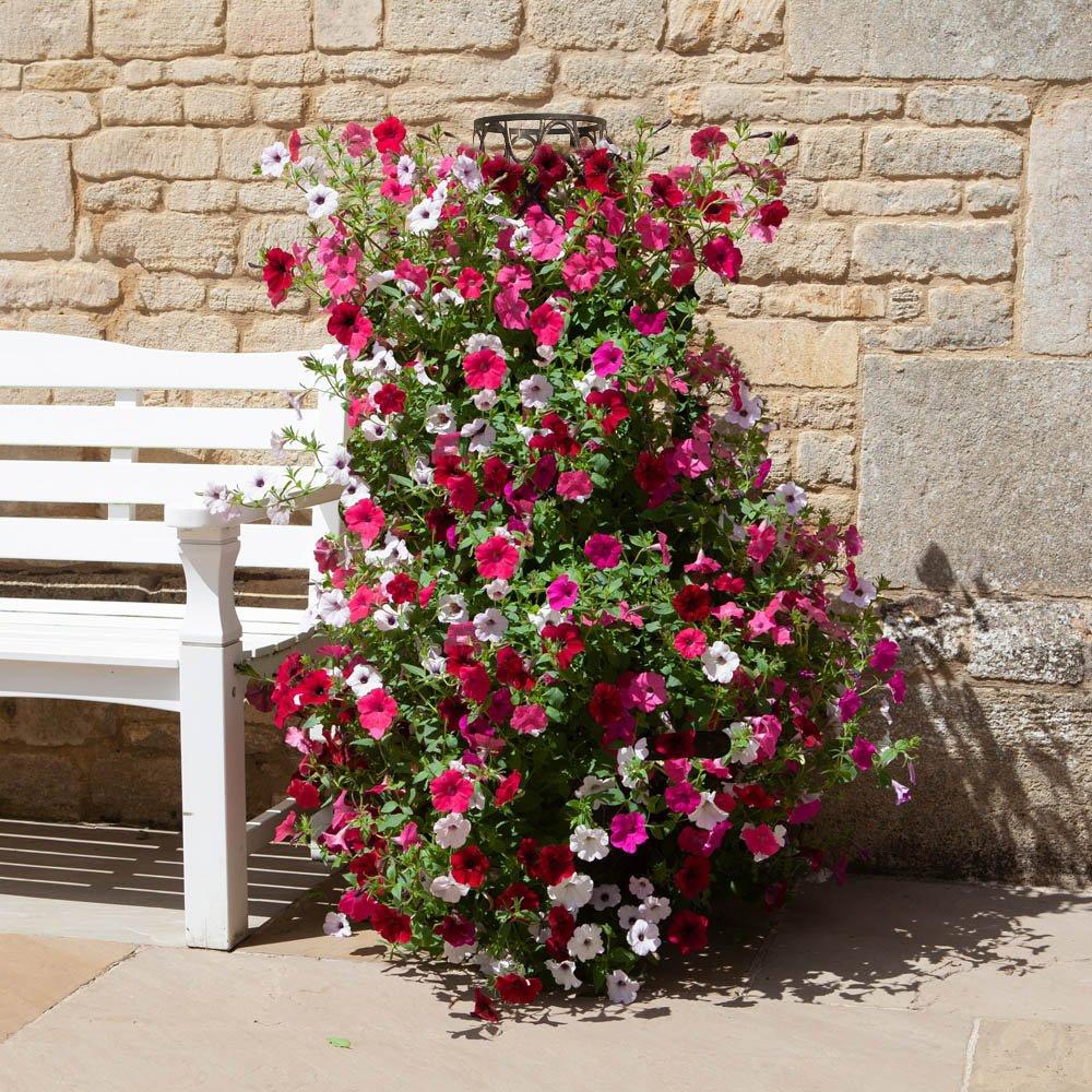 Brown - YouGarden - Tower Pot and Frame - 1