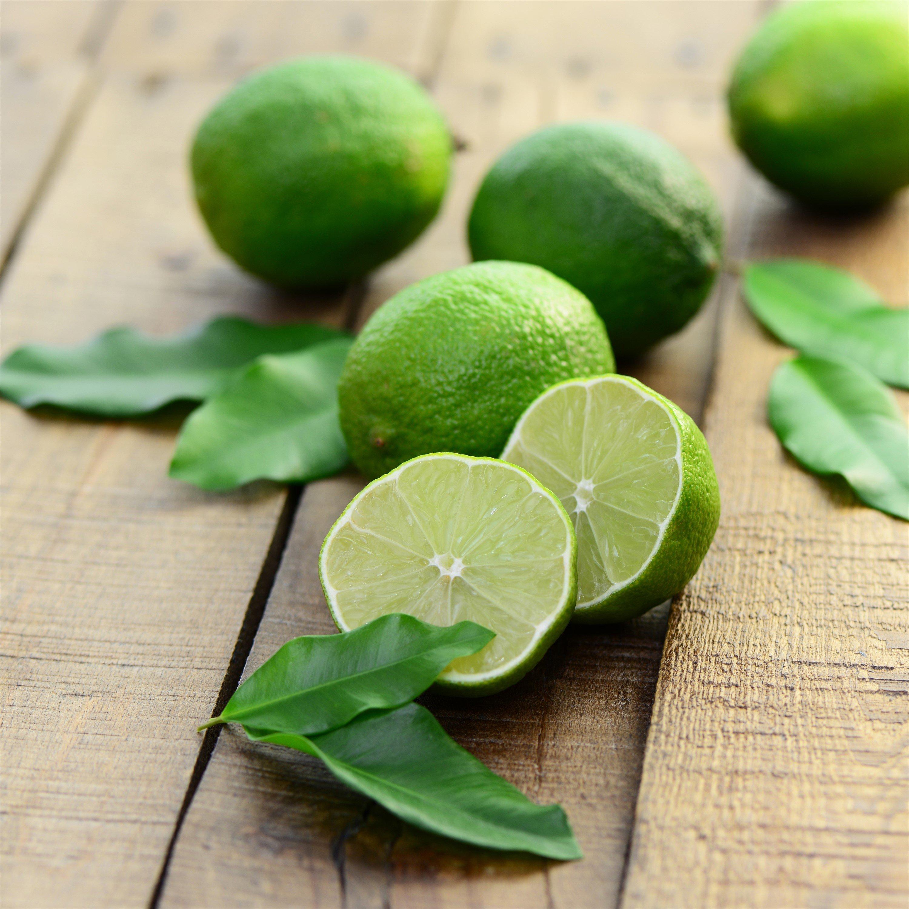 Yougarden  Citrus Lime 4L - Green - 4L Pot