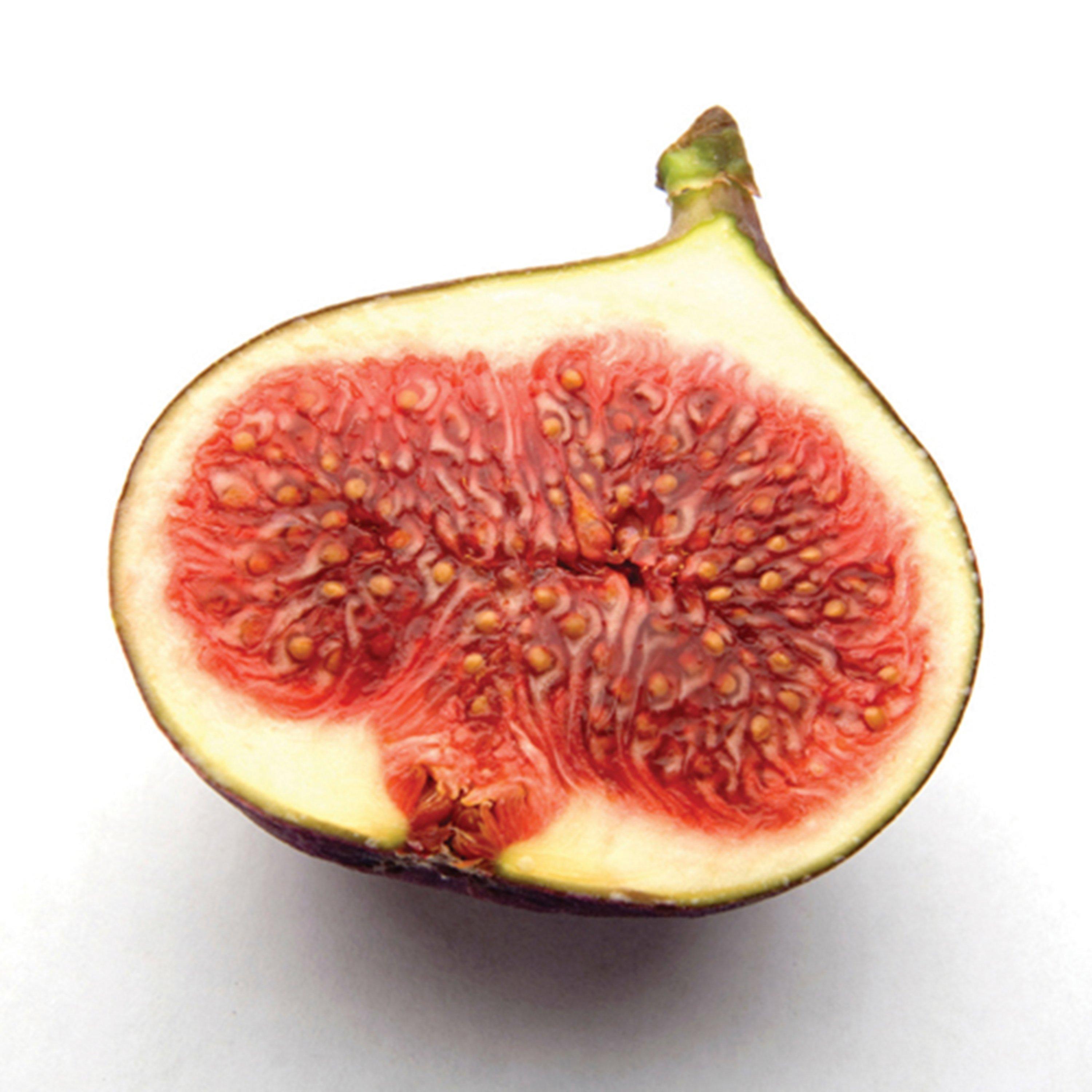 Green - YouGarden - Ficus (Fig) Brown Turkey standard 70-100cm - 2