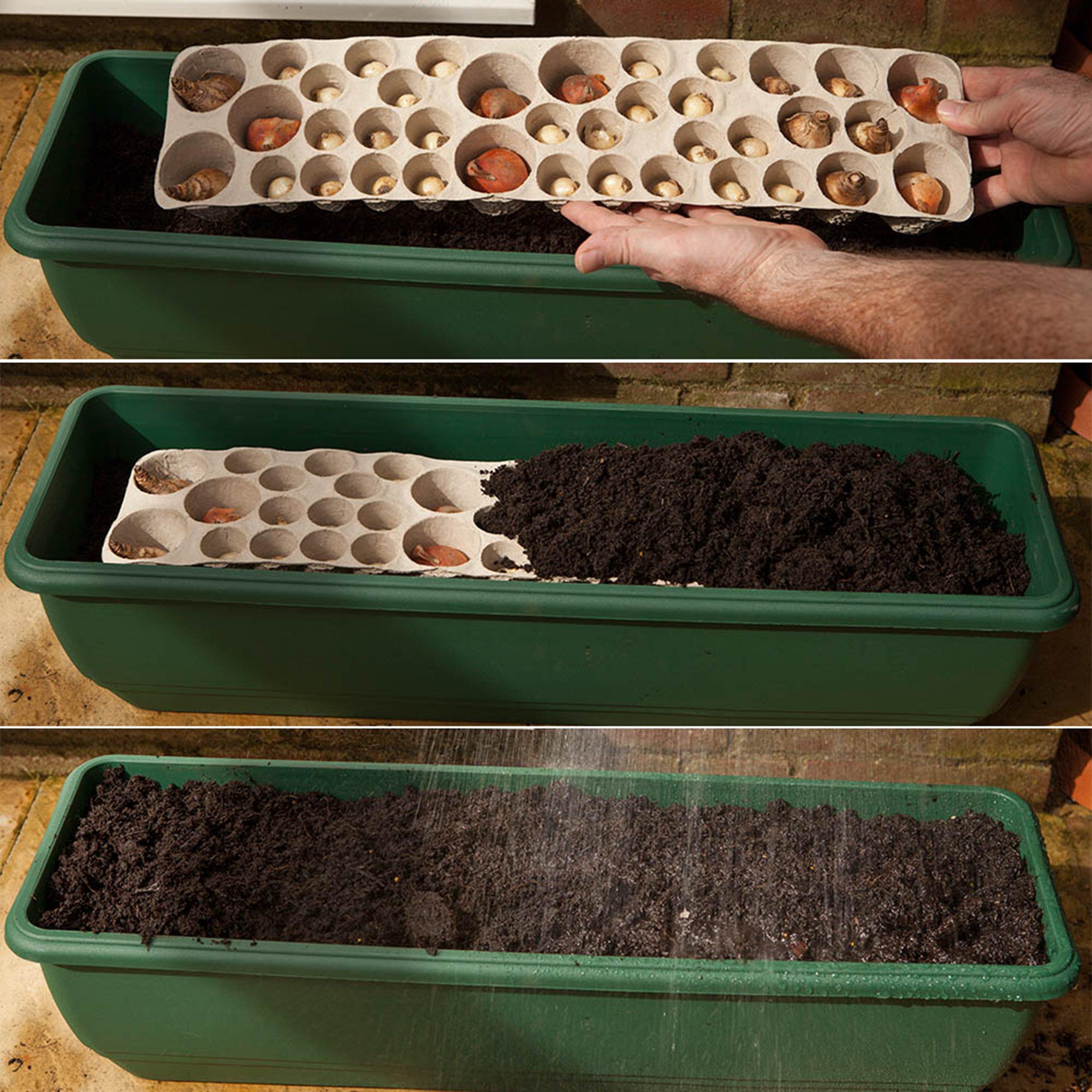 Multi - YouGarden - Plant-o-Mat Balcony Beauty Kit (38 bulbs) - 2