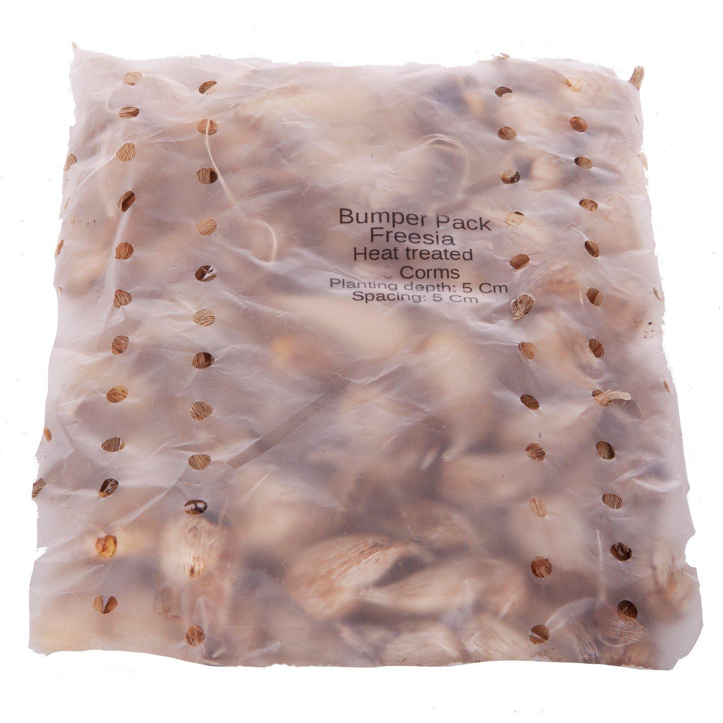 Multi - YouGarden - Freesia Bulbs-  50 singles & 50 doubles - 2