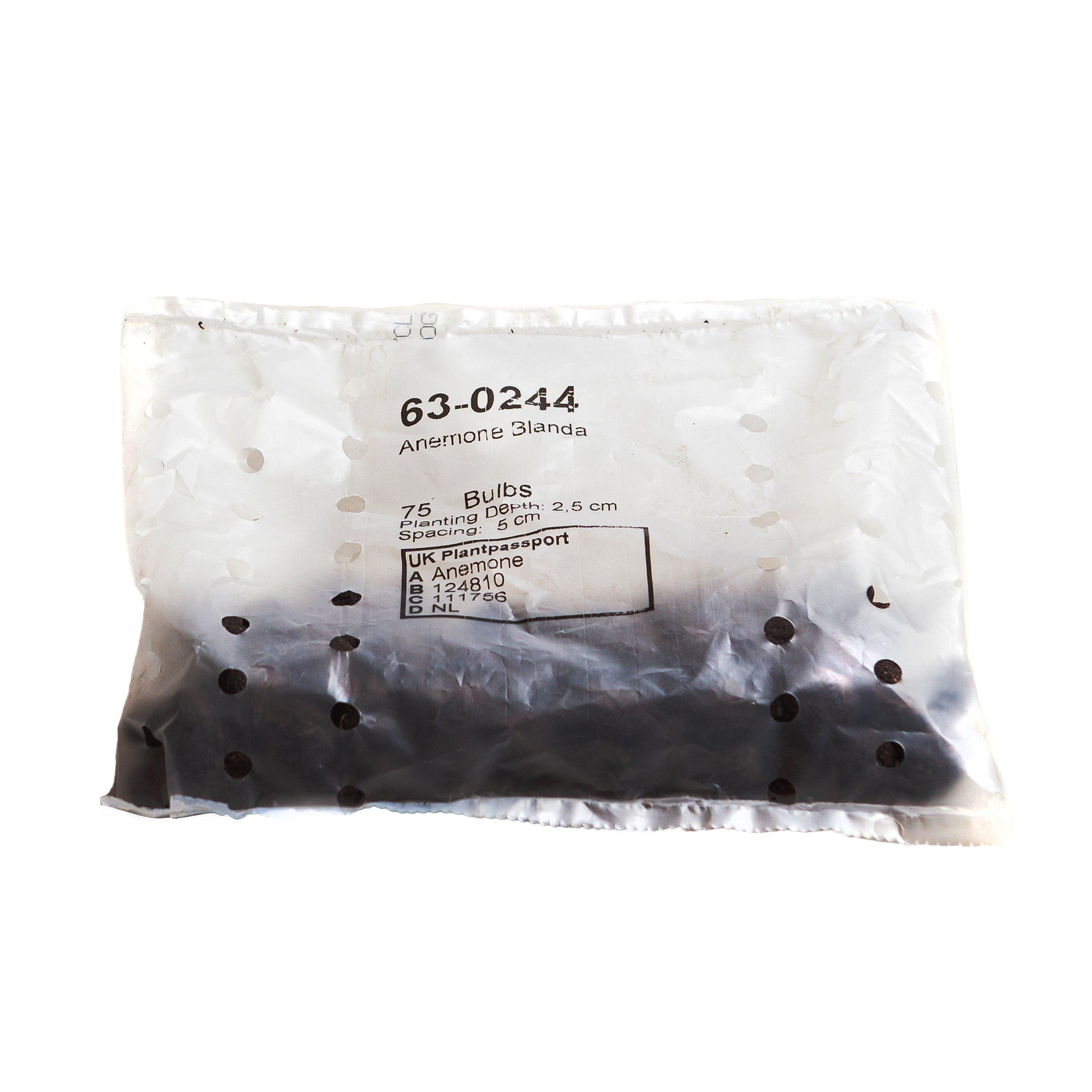 Multi - YouGarden - Anemone Blanda - 75 Bulbs - 2