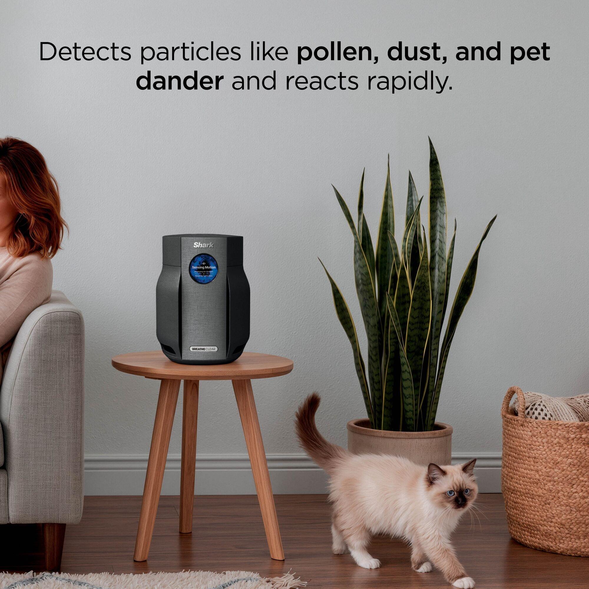 Charcoal - Shark - BreatheClear Compact Air Purifier HP062UKBK - 4