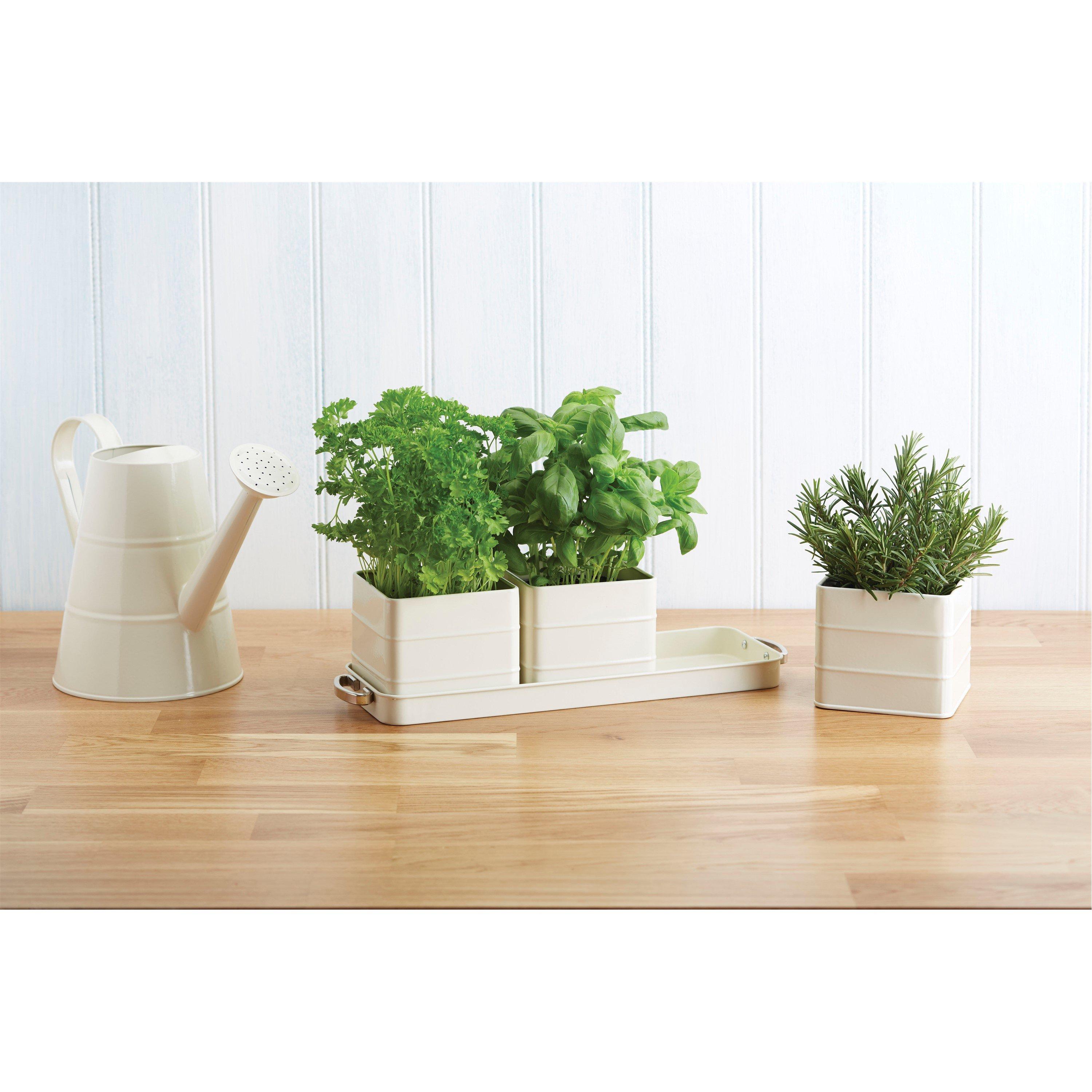 Cream - KitchenCraft - Living Nostalgia Antique Cream Herb Pots with Tray - 3