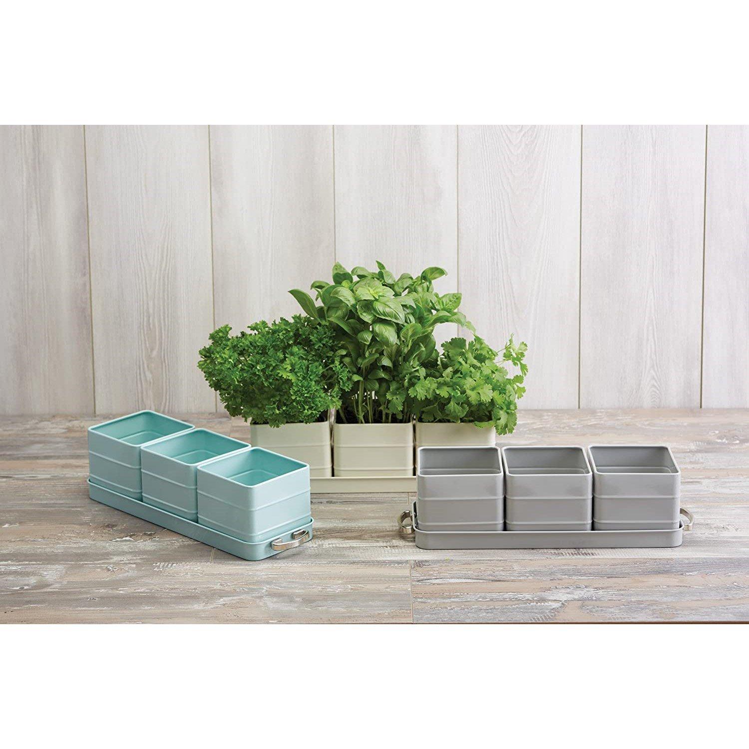 Cream - KitchenCraft - Living Nostalgia Antique Cream Herb Pots with Tray - 4