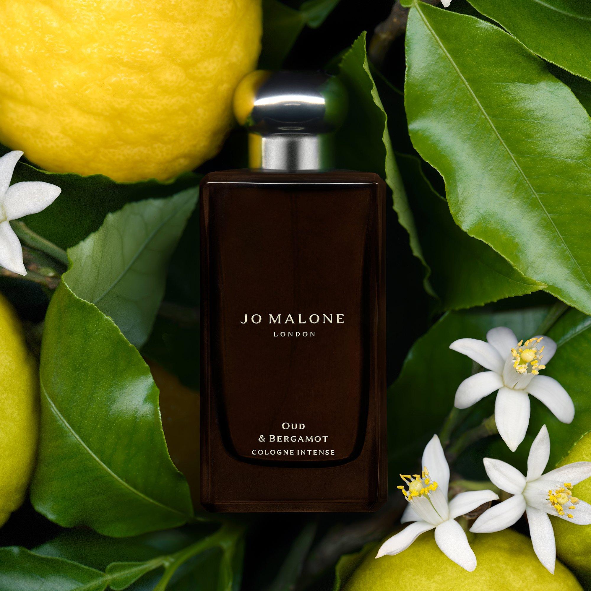 None - Jo Malone London - Oud & Bergamot Cologne Intense 30ml - 4