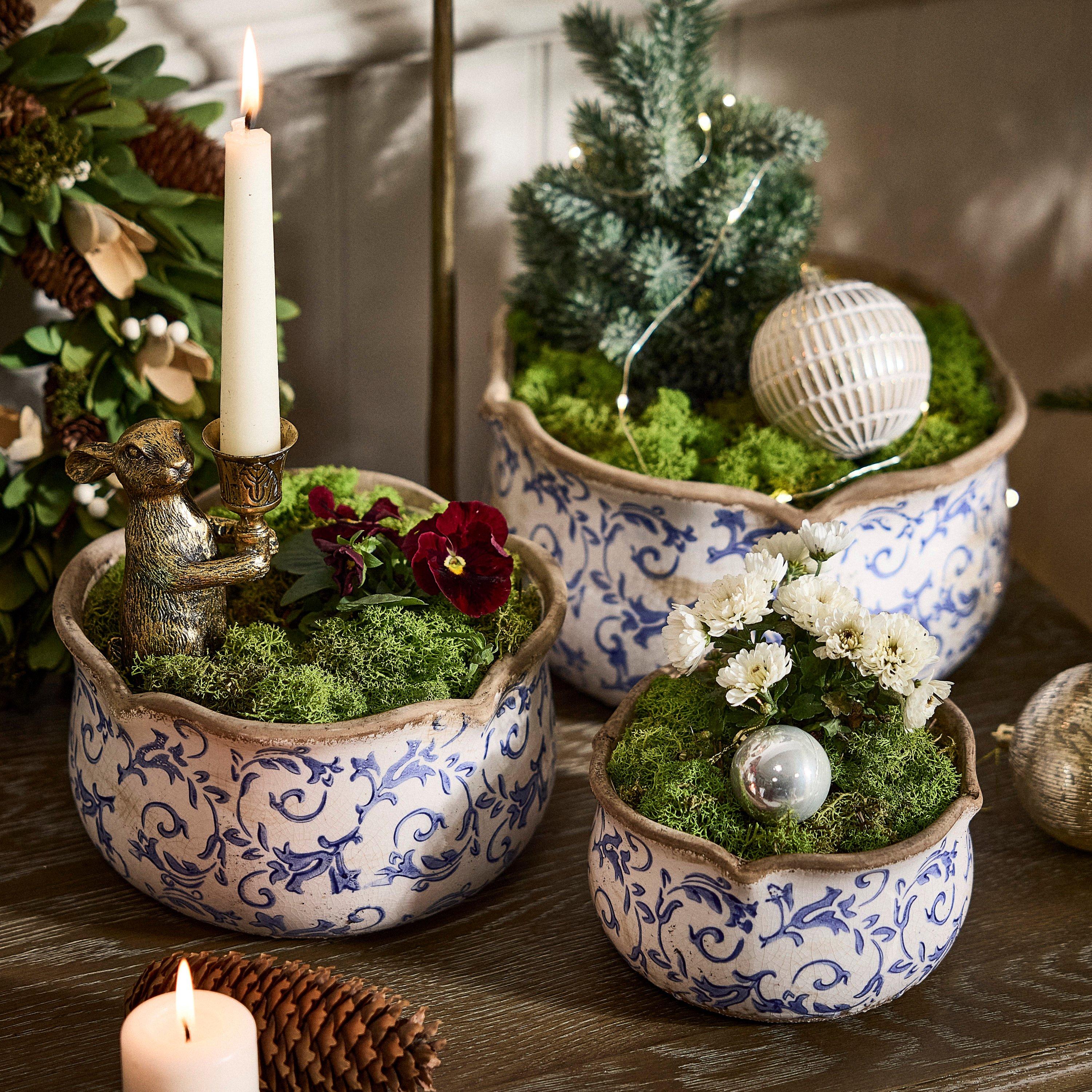 Dibor  Solene Botanical Set Of 3 Planters - Blue  of 3