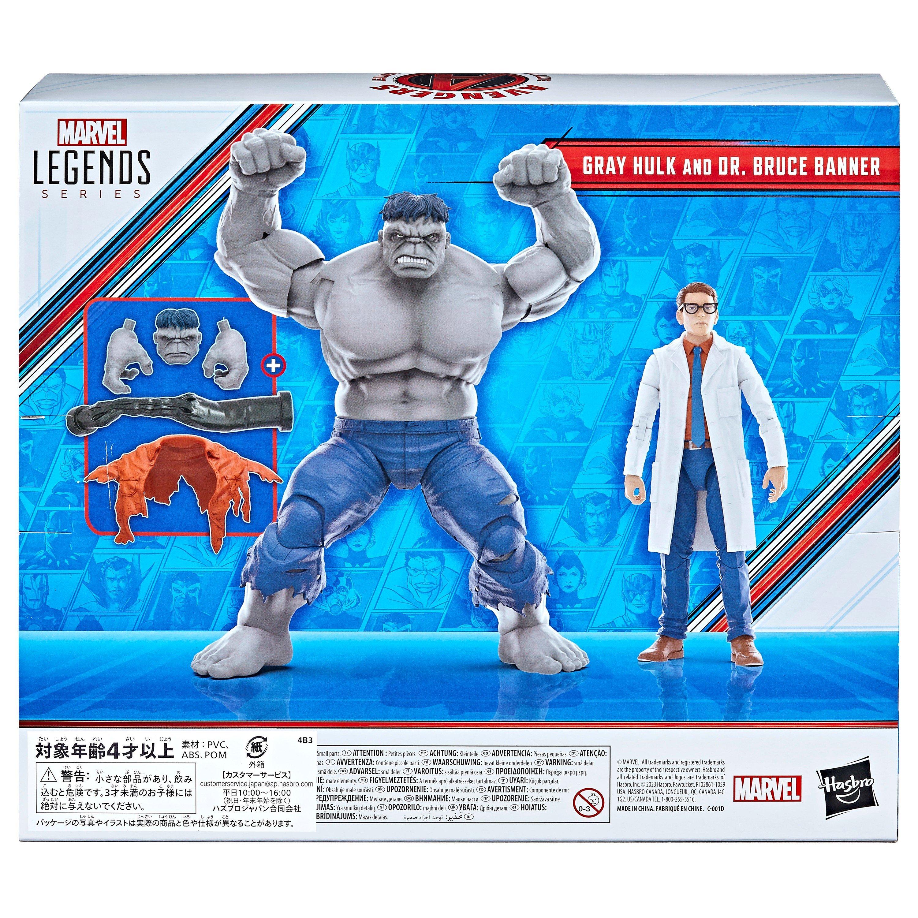 Multi Format An - Marvel - Legends Series Gray Hulk and Bruce Banner - 2