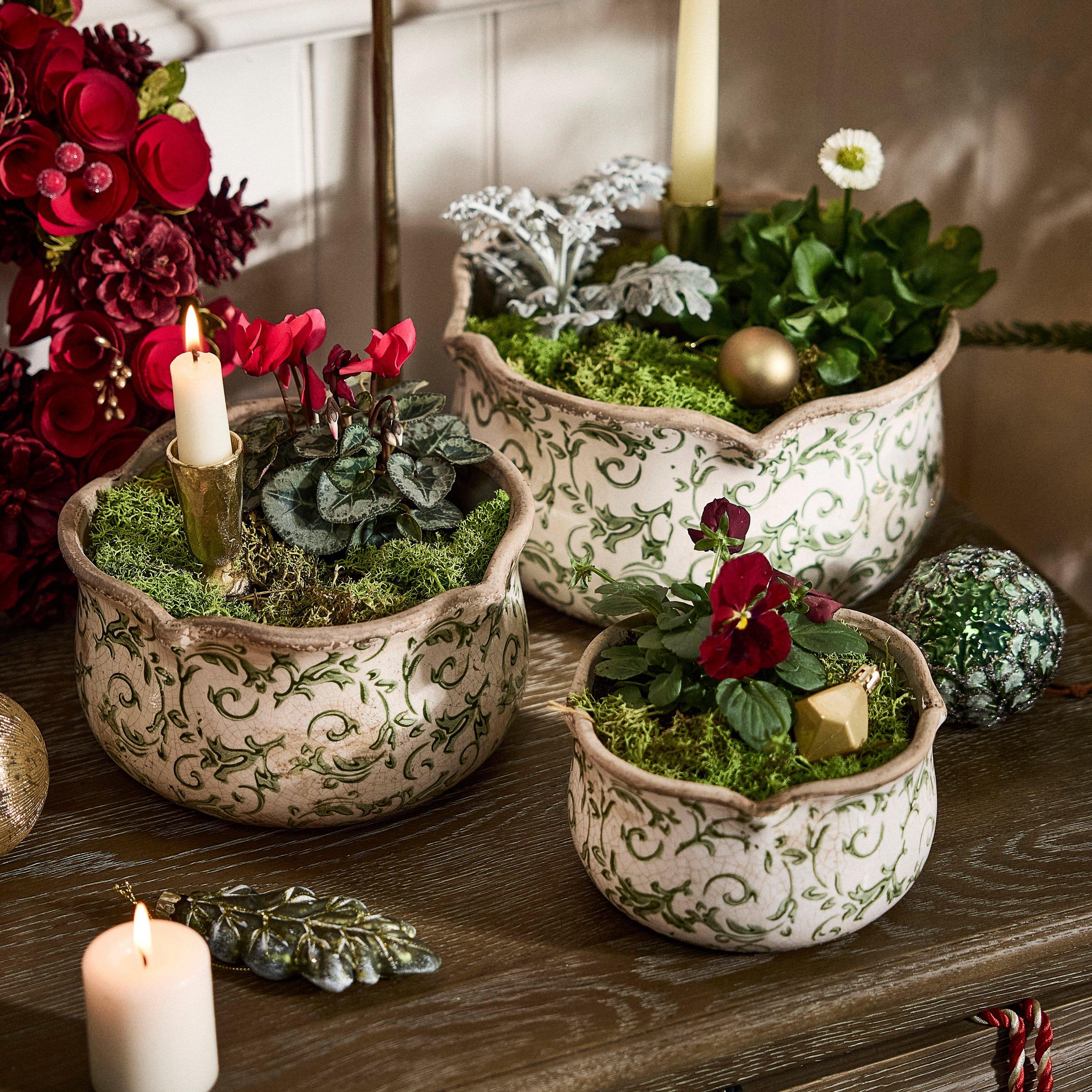 Dibor  Irina Botanical Set Of 3 Planters - Green  of 3