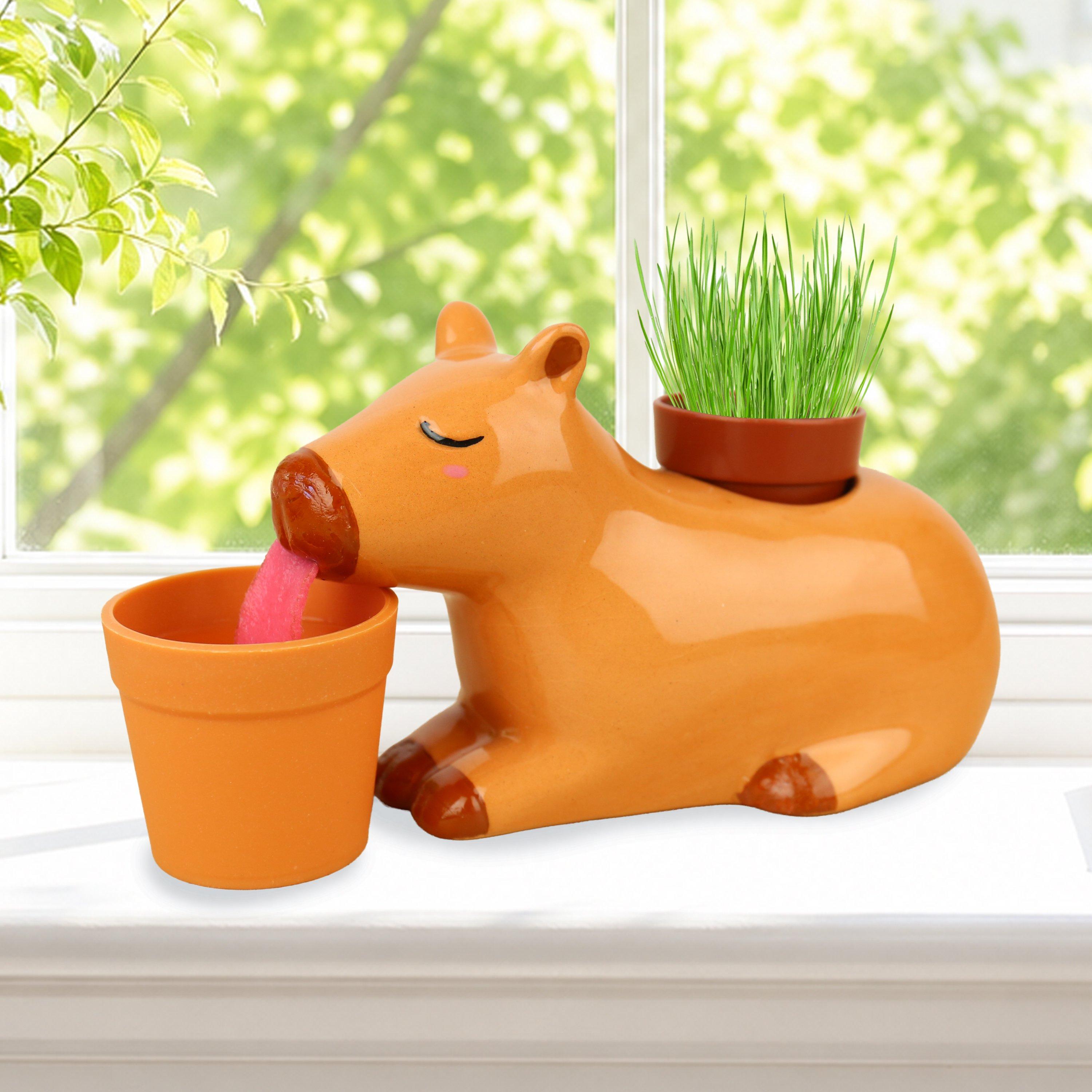 Multi - Gift Republic - Self Watering Capybara Planter - 1