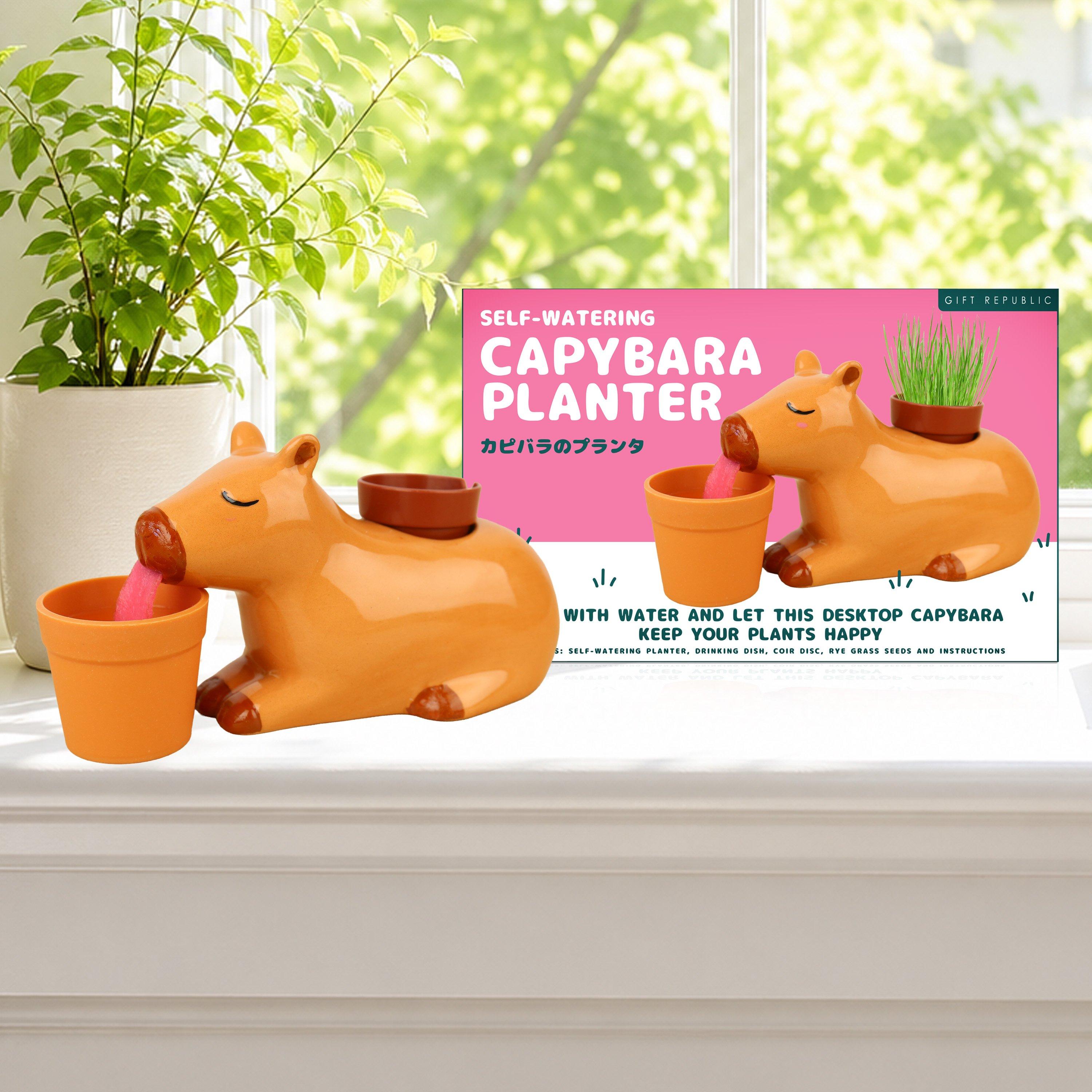Multi - Gift Republic - Self Watering Capybara Planter - 2