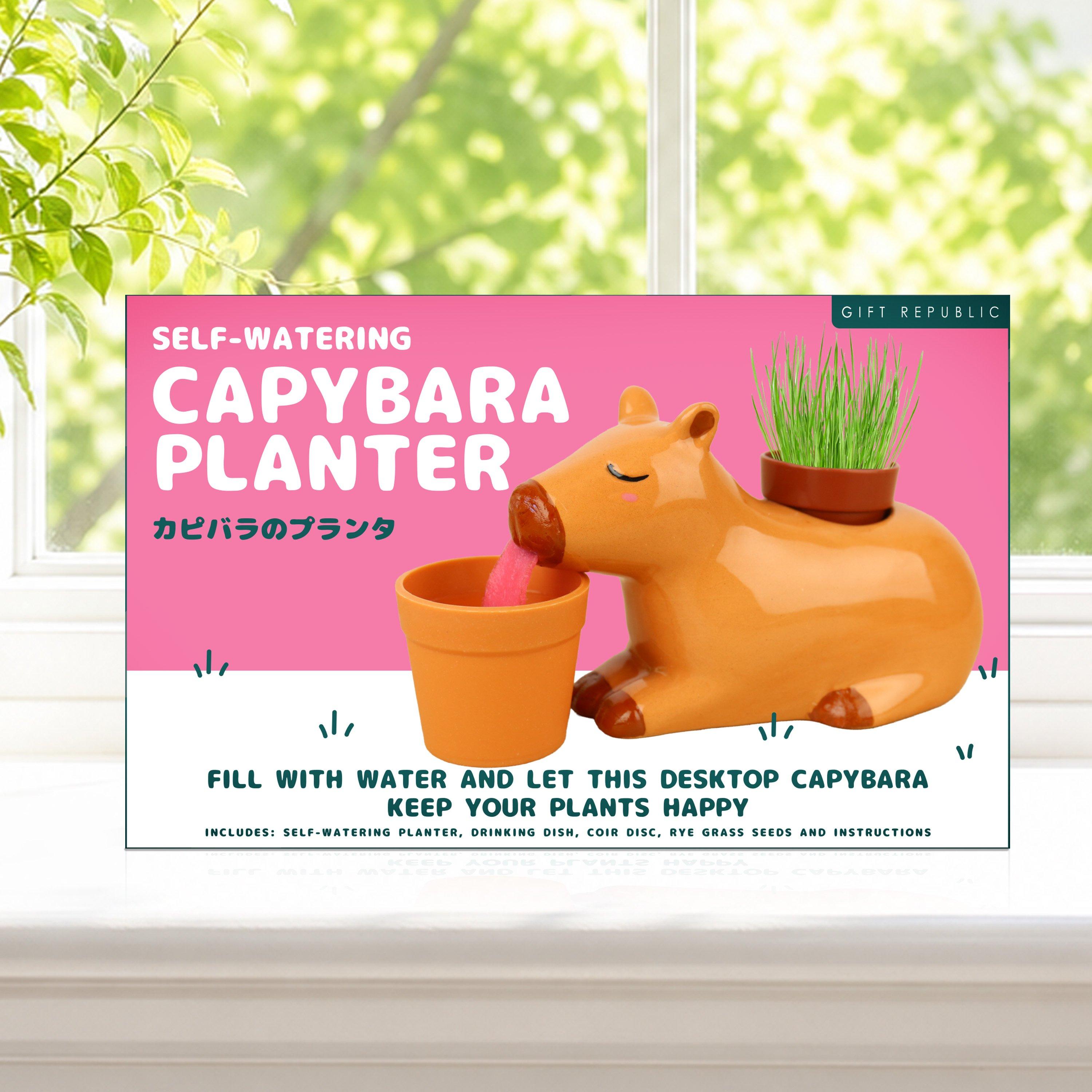 Multi - Gift Republic - Self Watering Capybara Planter - 3