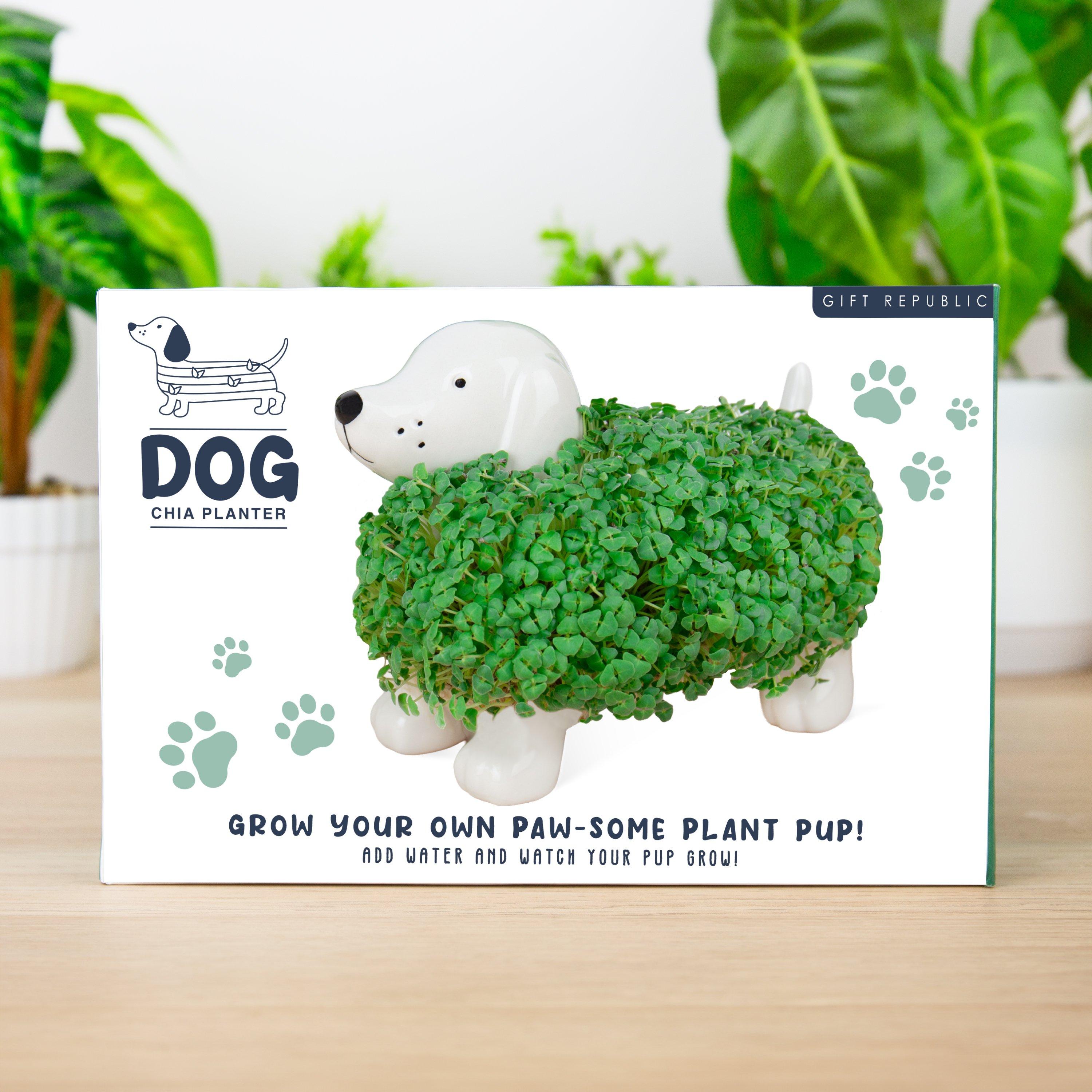 Multi - Gift Republic - Dog Chia Planter - 1