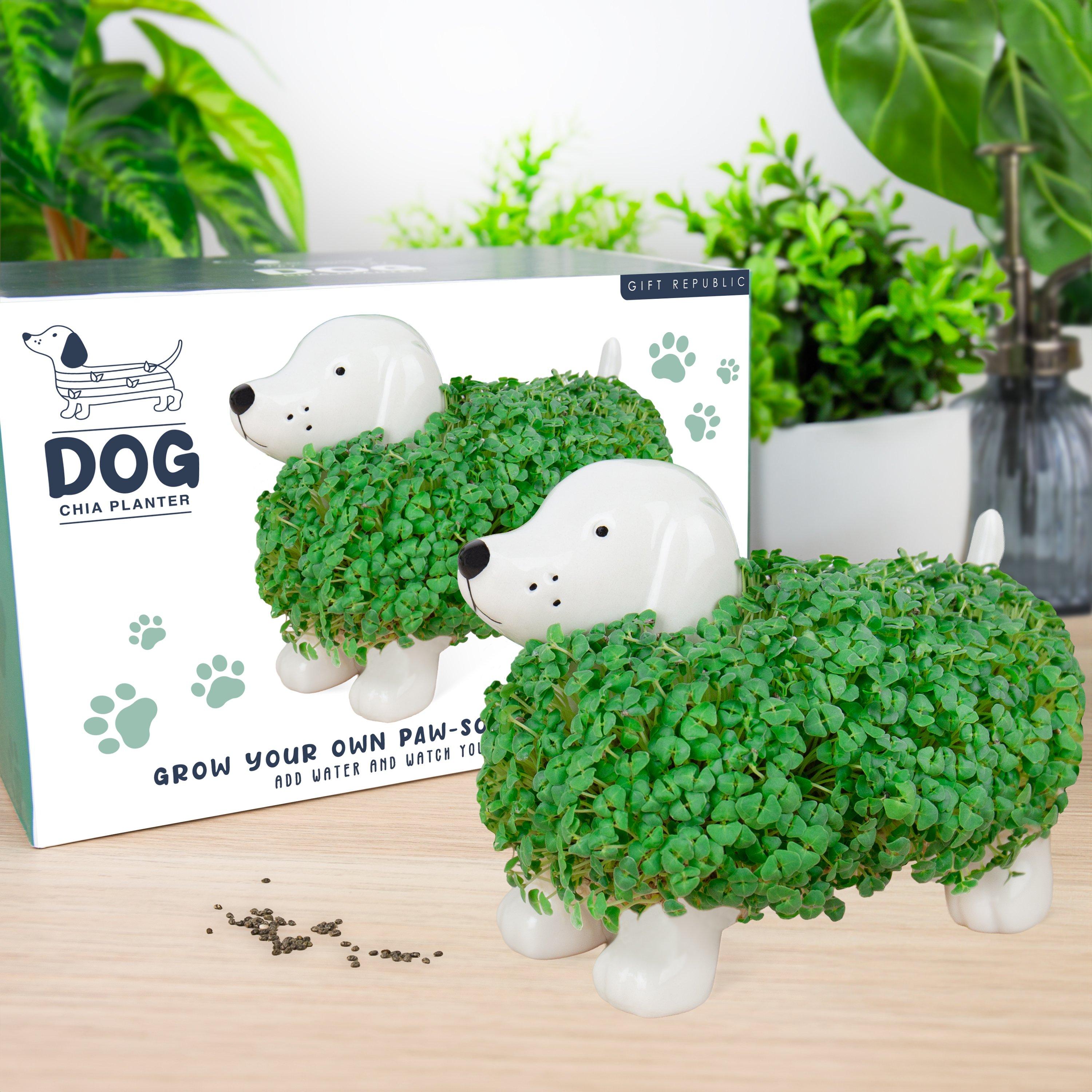 Multi - Gift Republic - Dog Chia Planter - 2