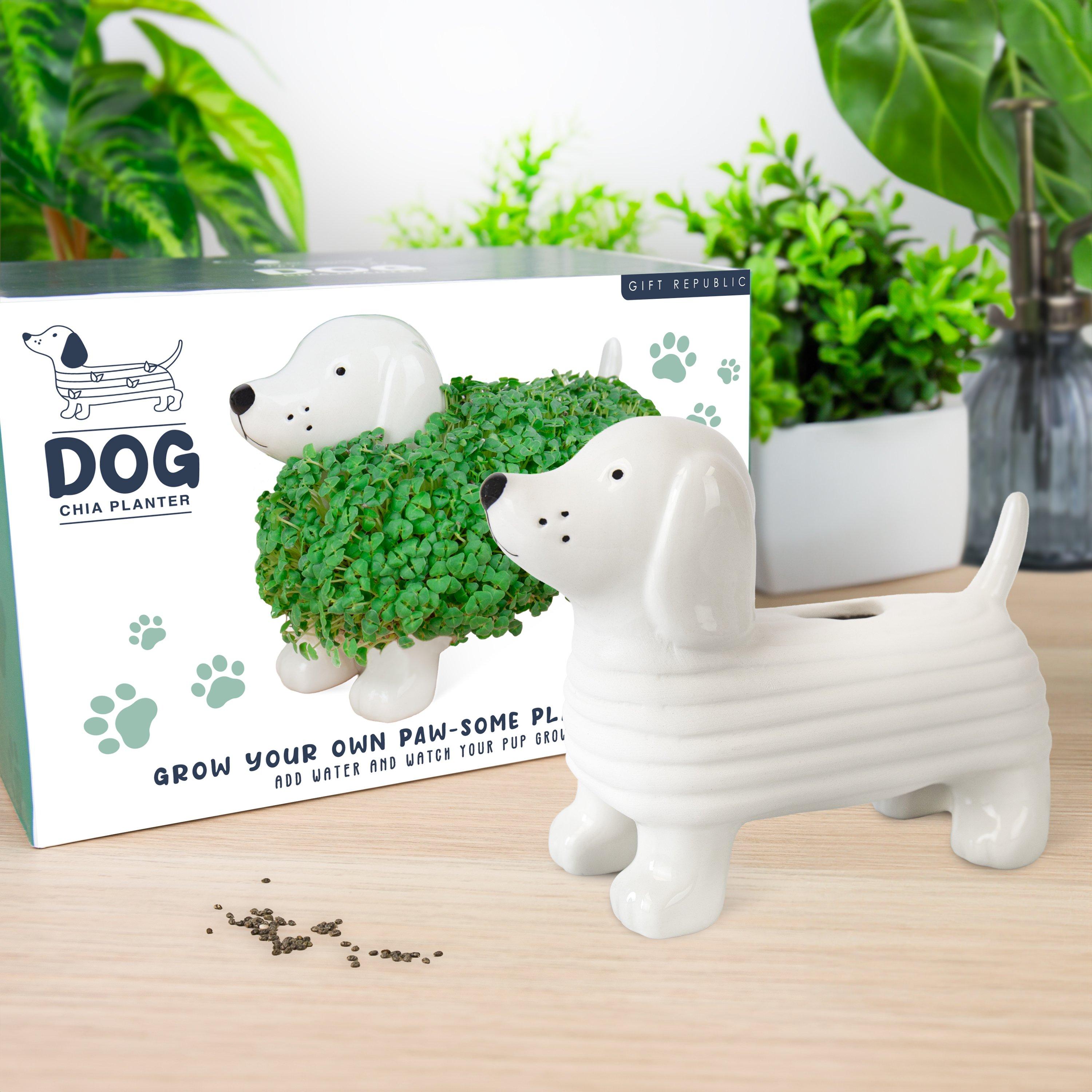 Multi - Gift Republic - Dog Chia Planter - 3