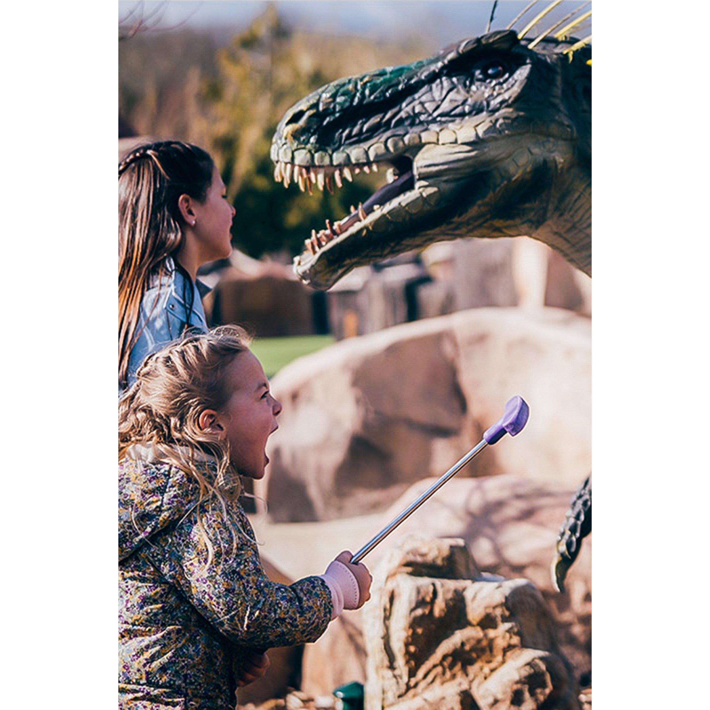 None - Activity Superstore - Crazy Golf for Four - 3