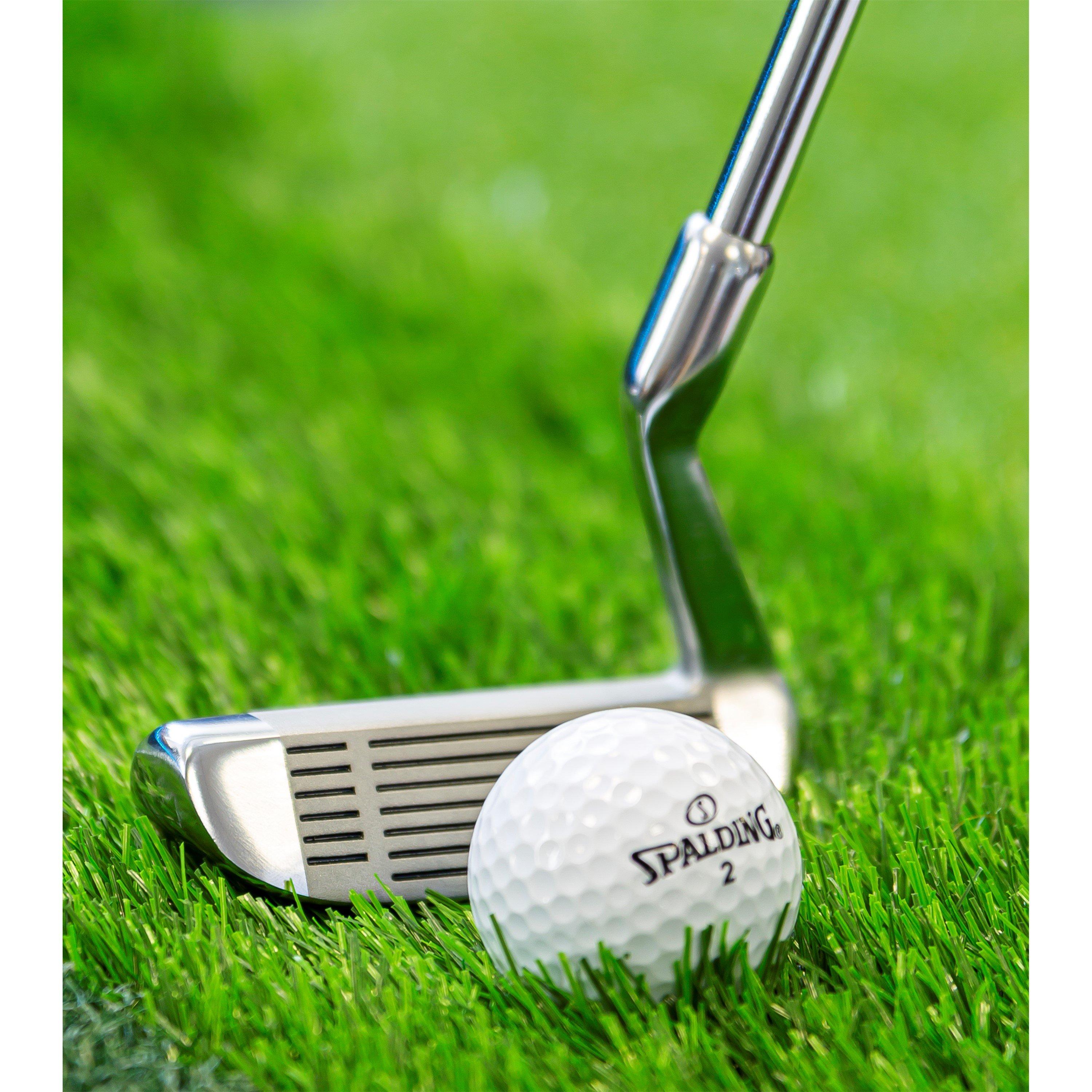 Silver - Longridge - Longridge Two Way Chipper - 3