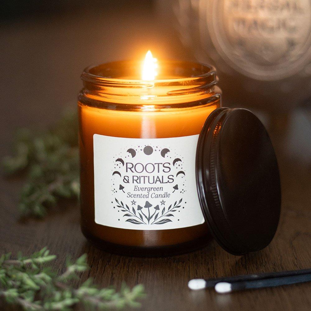Brown - Something Different - Roots & Rituals Evergreen Amber Glass Candle - 1