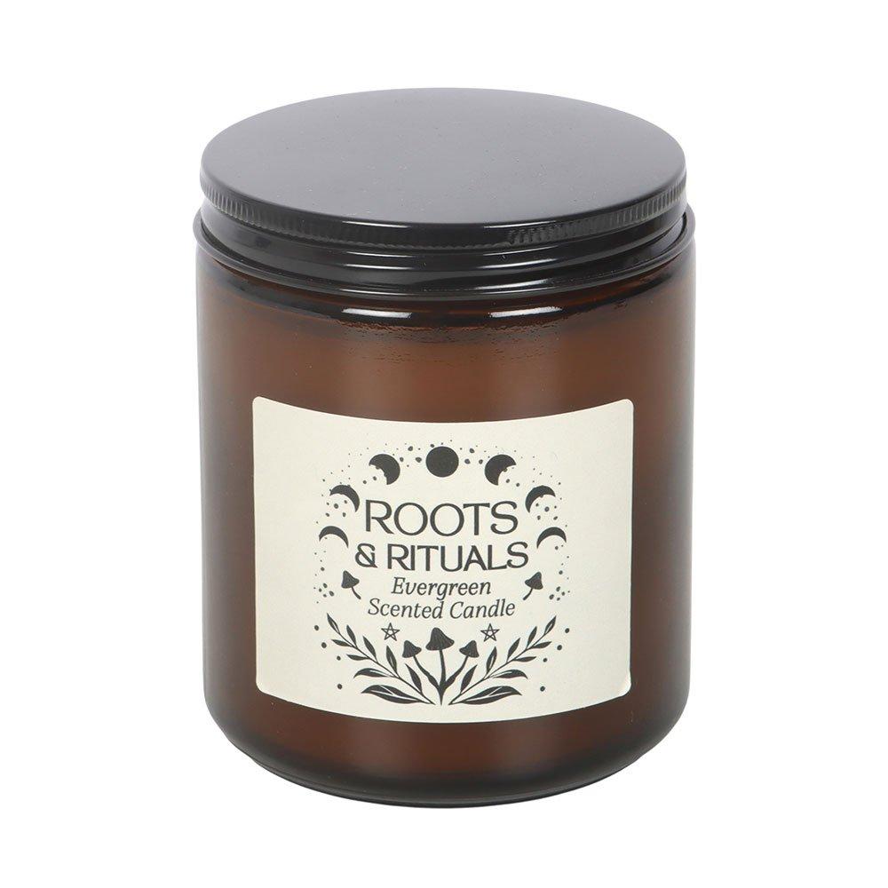 Brown - Something Different - Roots & Rituals Evergreen Amber Glass Candle - 2