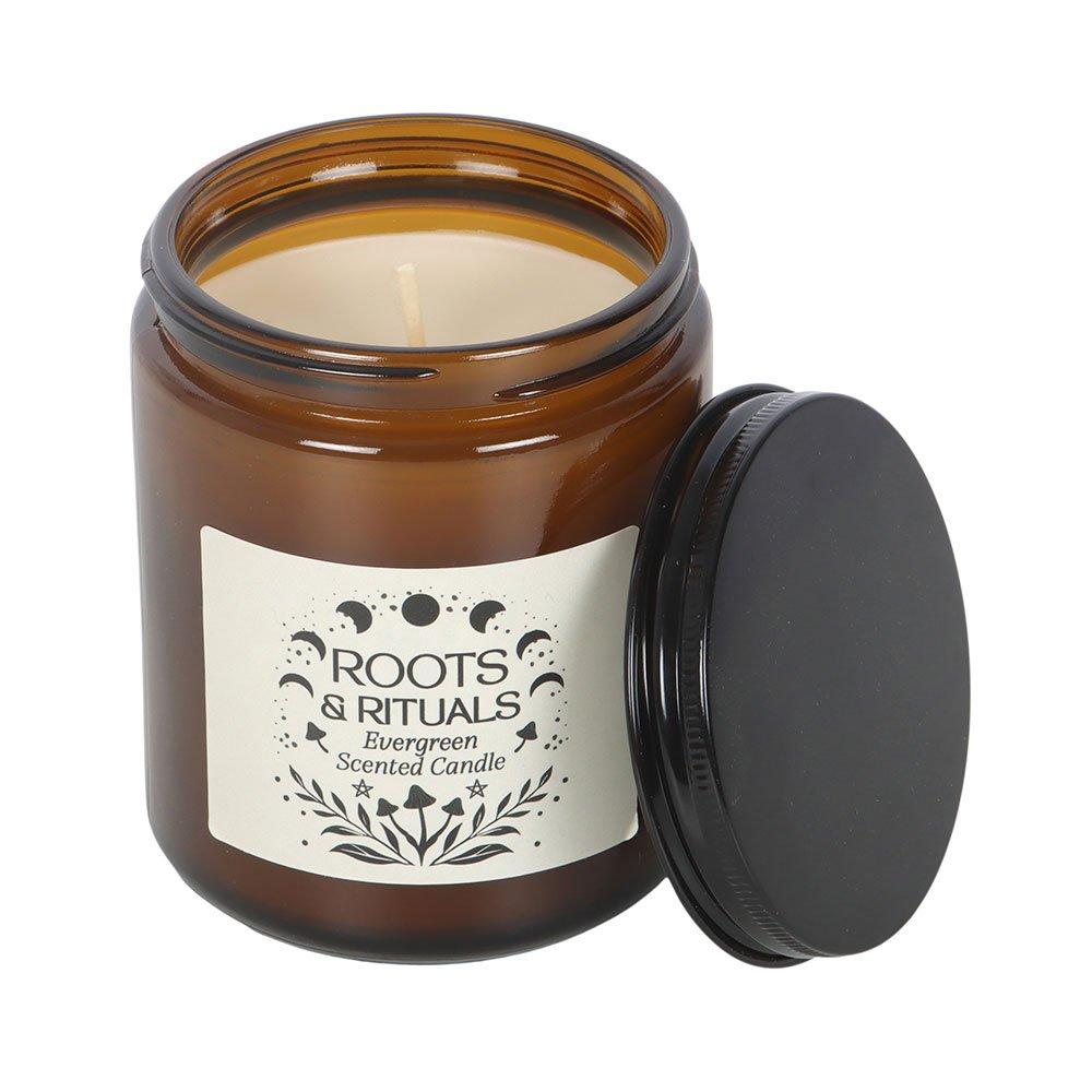Brown - Something Different - Roots & Rituals Evergreen Amber Glass Candle - 3
