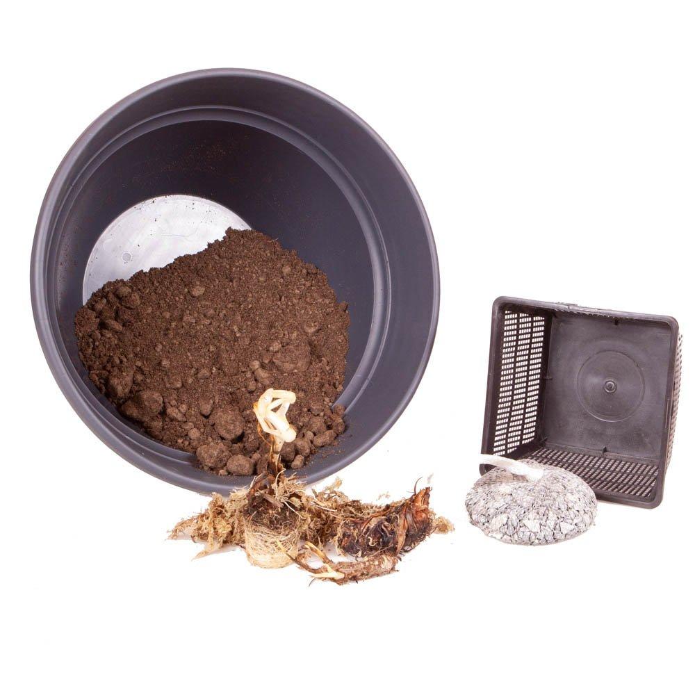 Brown - YouGarden - Complete Patio Pond Kit - 4