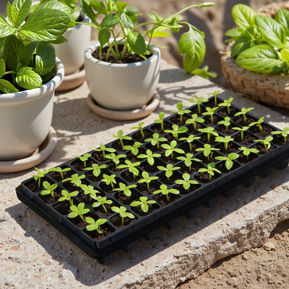 Grey - LIFE IDEAS - 2x 10pcs Thick Durable 50 Cell Seedling Tray - 1