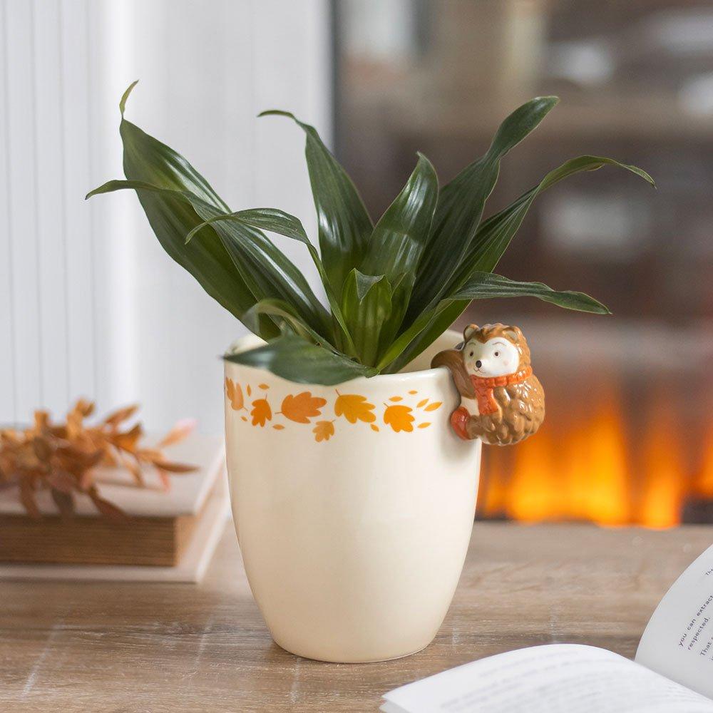 Cream - Something Different - Autumn Plant Pot with Hedgehog - 1
