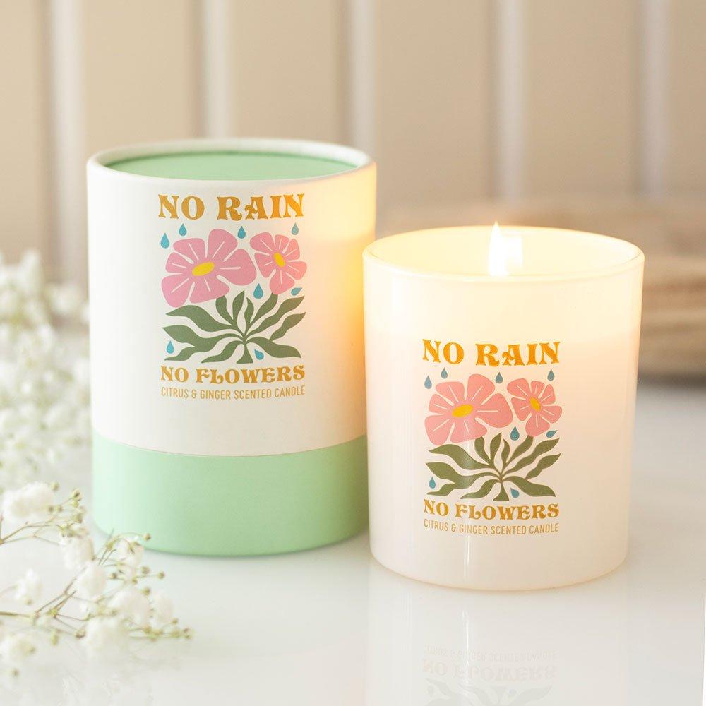 White - Something Different - No Rain No Flowers Citrus & Ginger Candle - 1